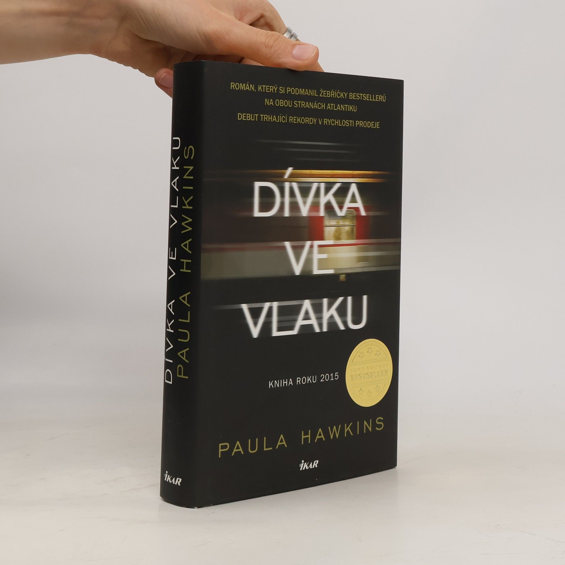 Dívka ve vlaku