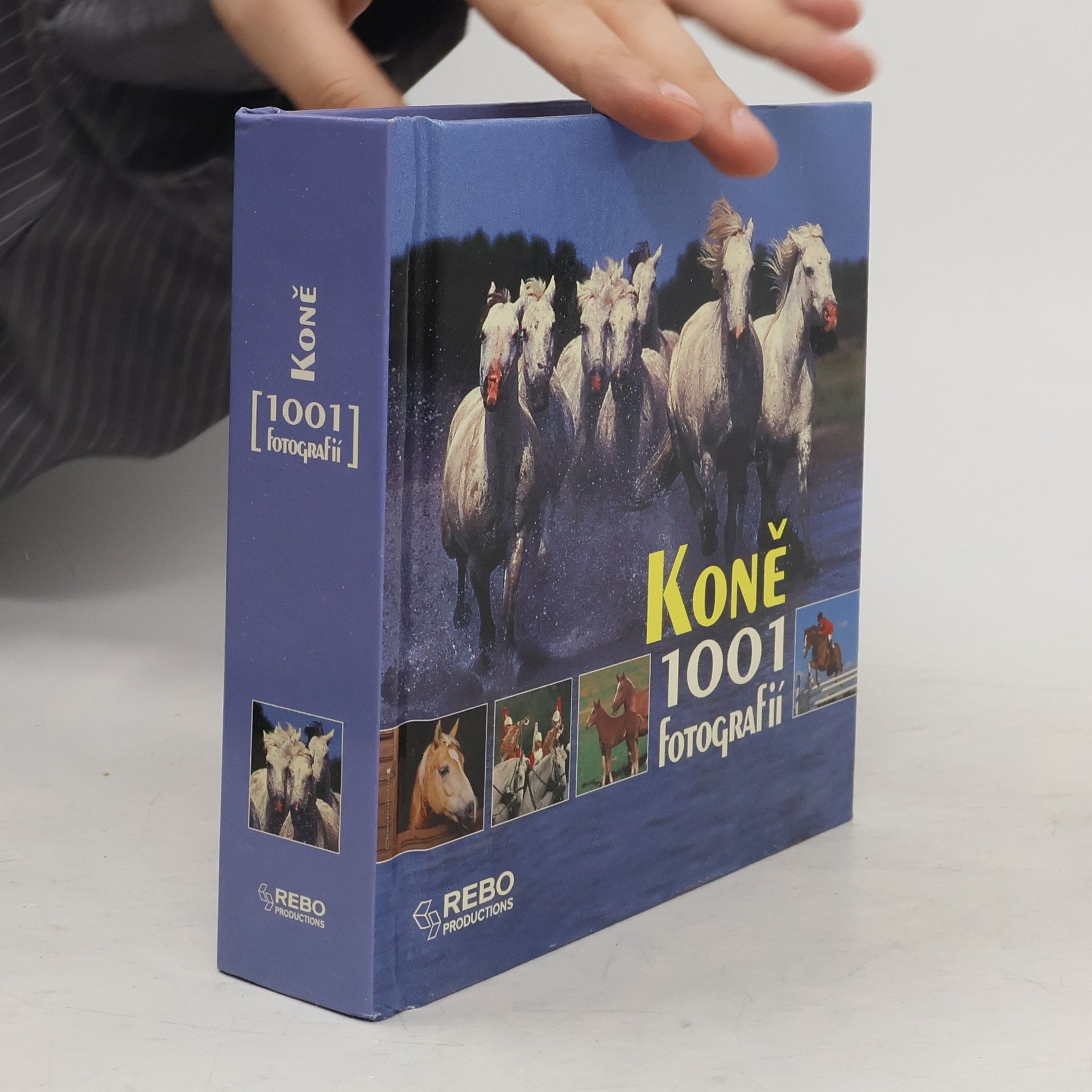 Autorenkollektiv Koně. 1001 fotografií