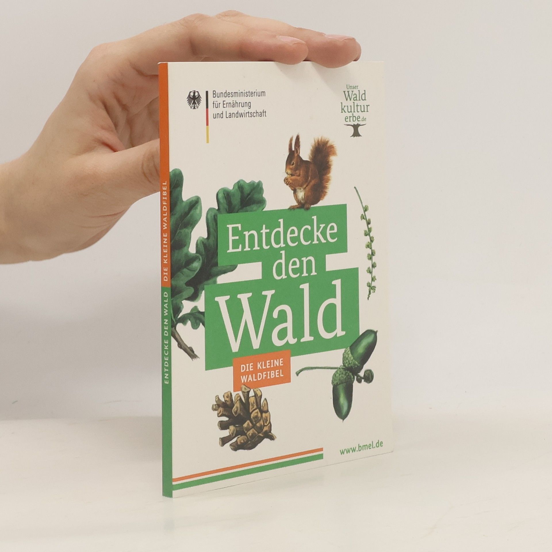Autorenkollektiv Entdecke den Wald. Die kleine Waldfibel