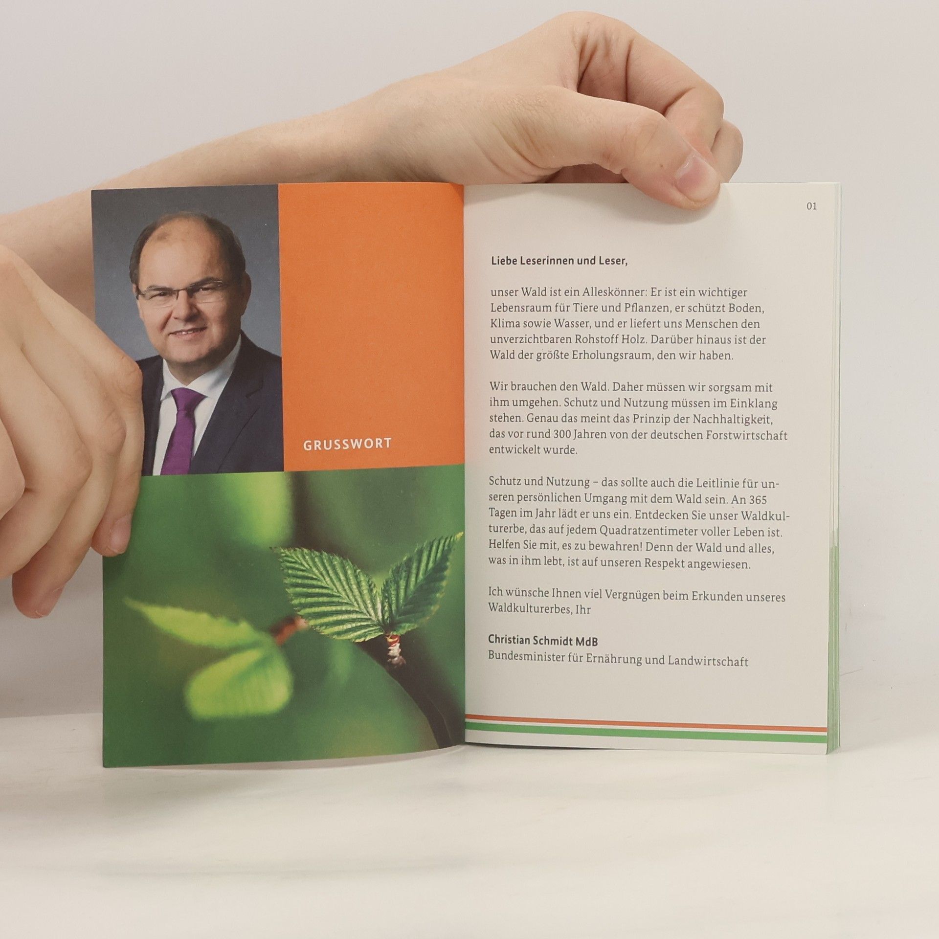Autorenkollektiv Entdecke den Wald. Die kleine Waldfibel