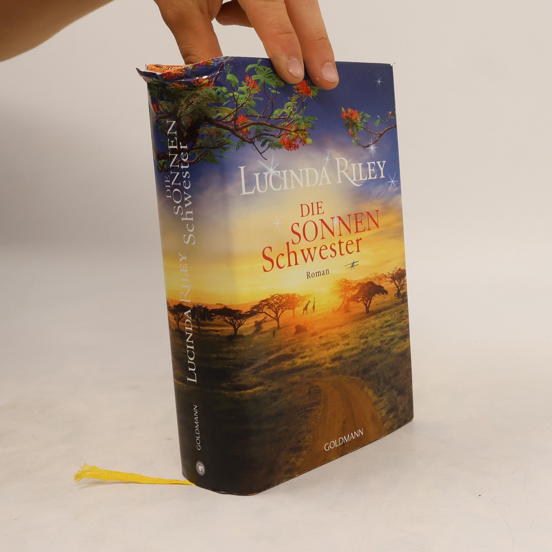 Lucinda Riley Die Sonnenschwester