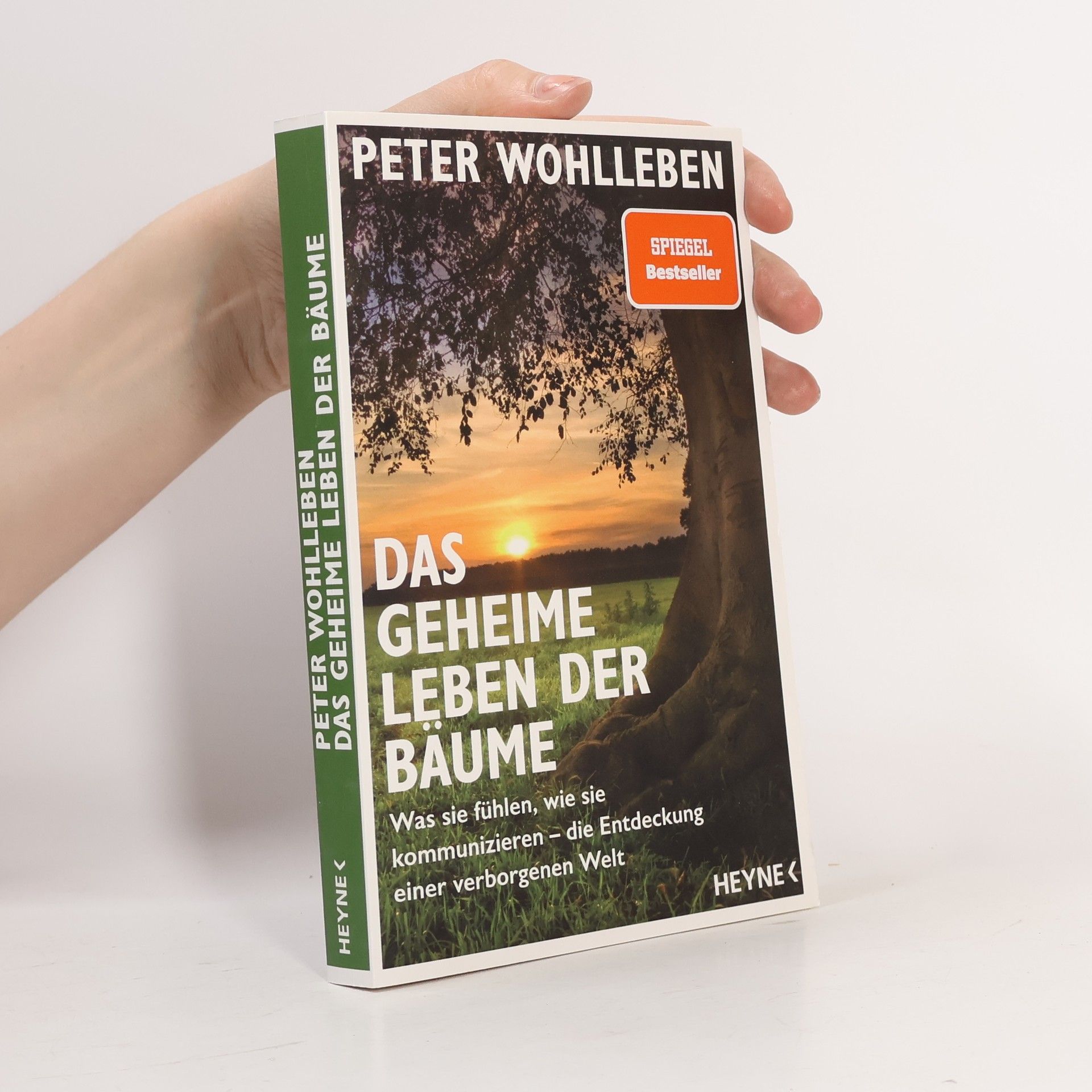 Peter Wohlleben Das geheime Leben der Bäume