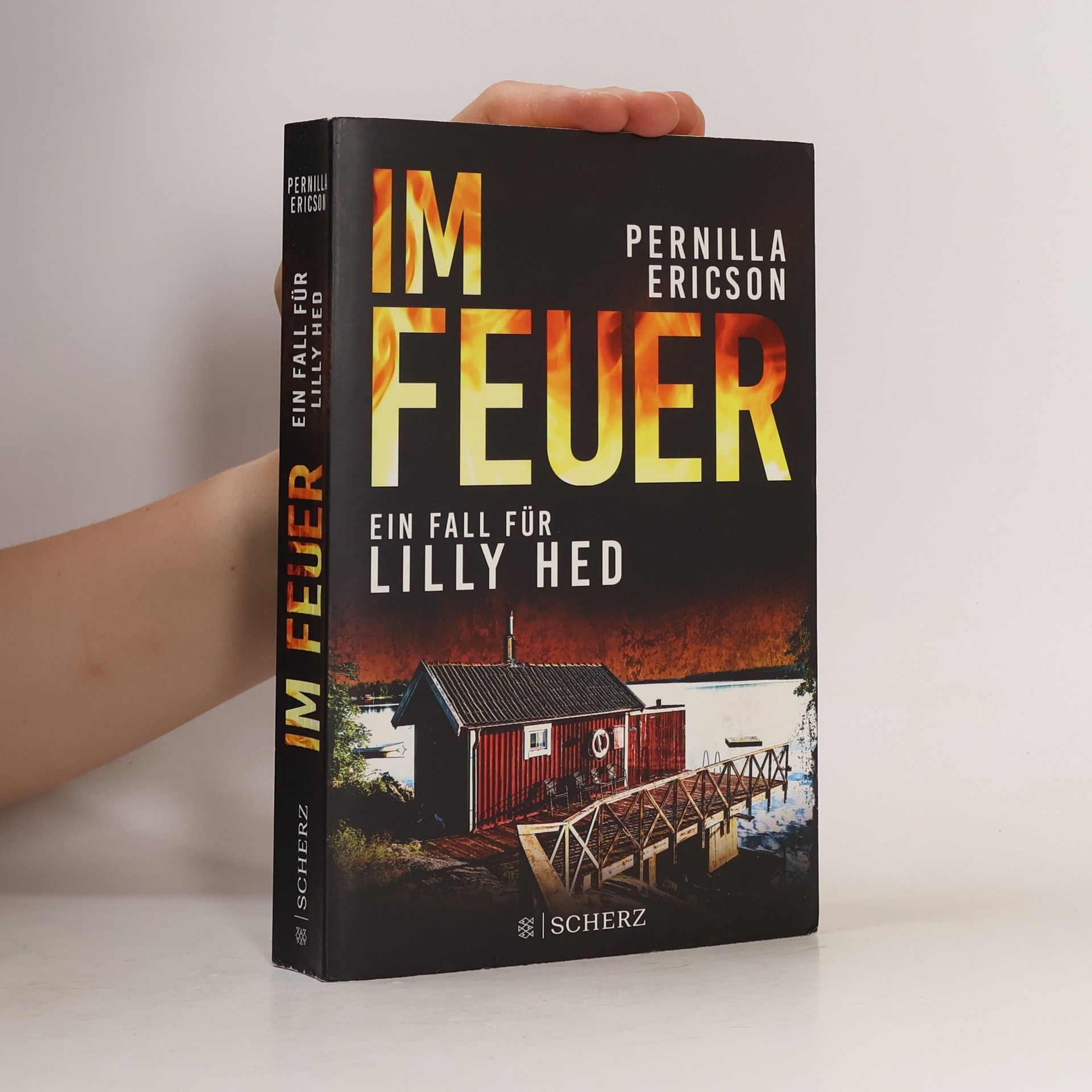 Pernilla Ericson Im Feuer