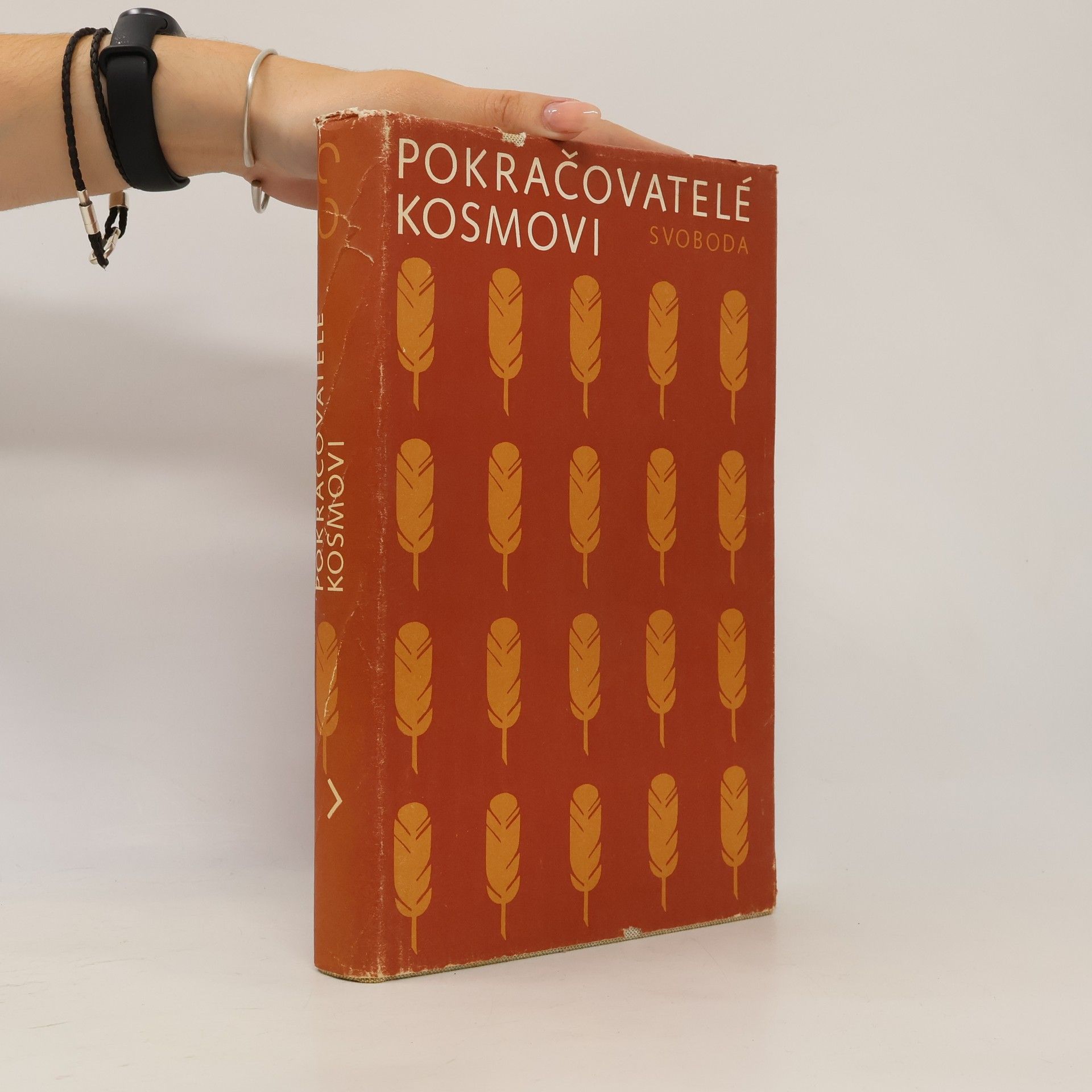 Pokračovatelé Kosmovi