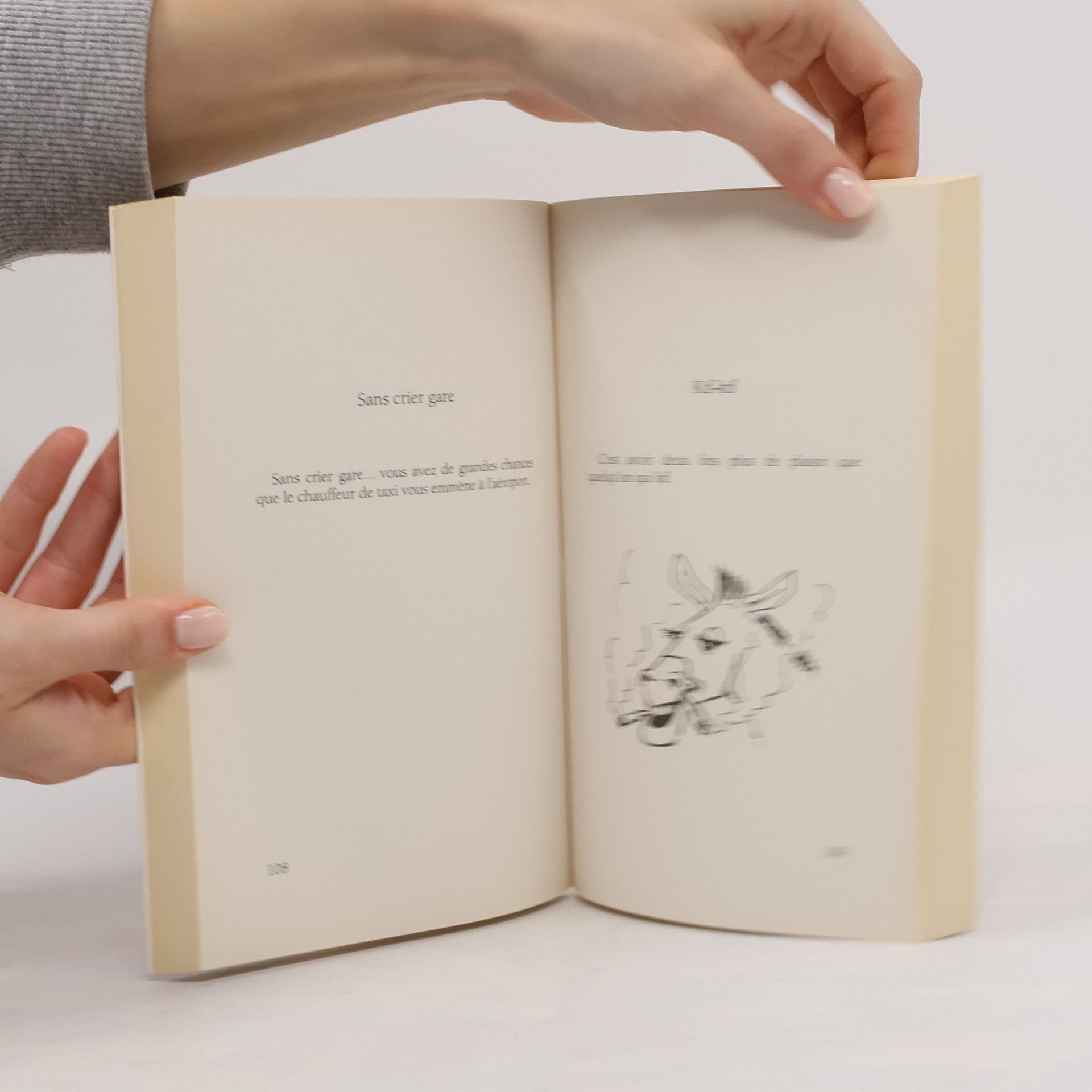 Stéphane De Groodt Le livre de la jongle