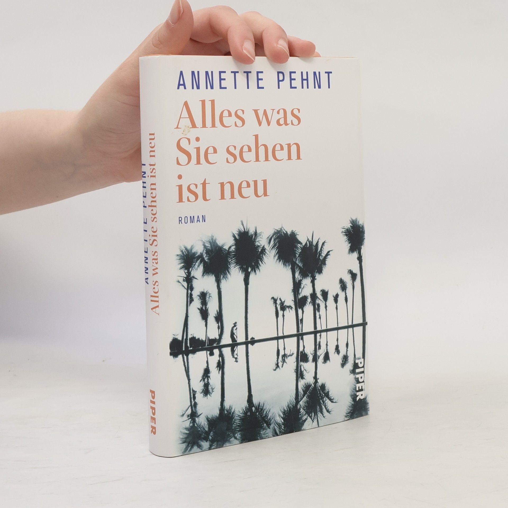 Annette Pehnt Alles was Sie sehen ist neu