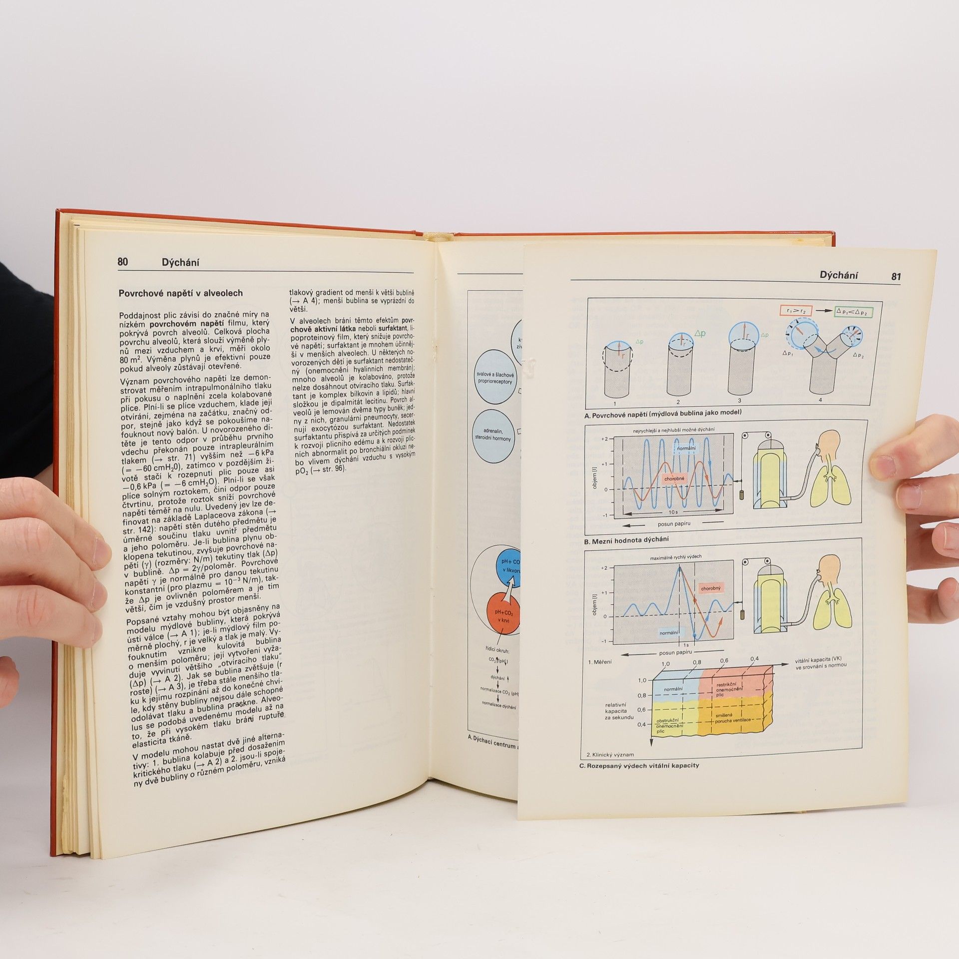 Stefan Silbernagl Atlas fyziologie člověka