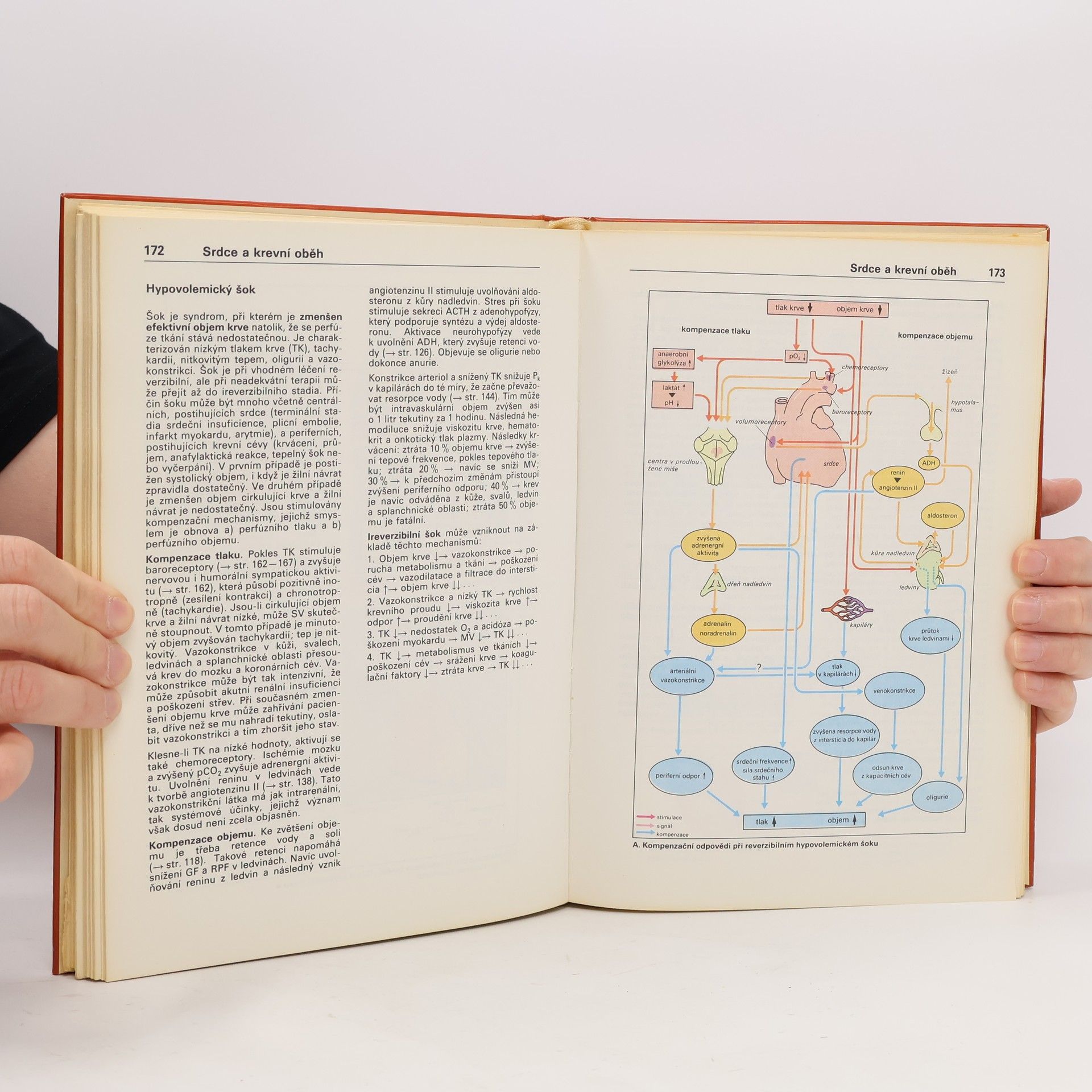 Stefan Silbernagl Atlas fyziologie člověka