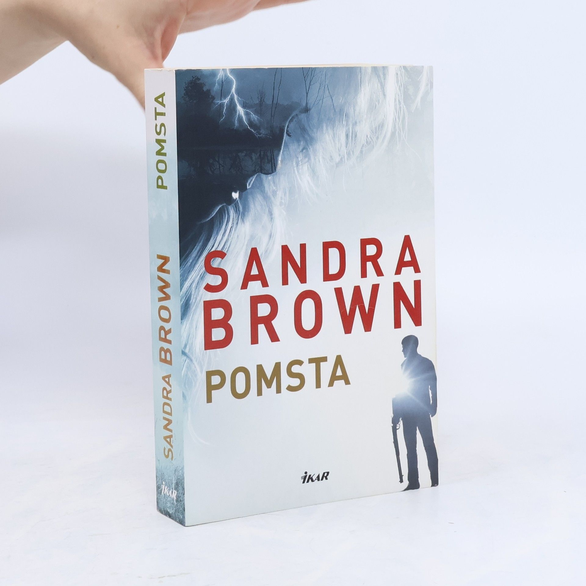 Sandra Brown Pomsta