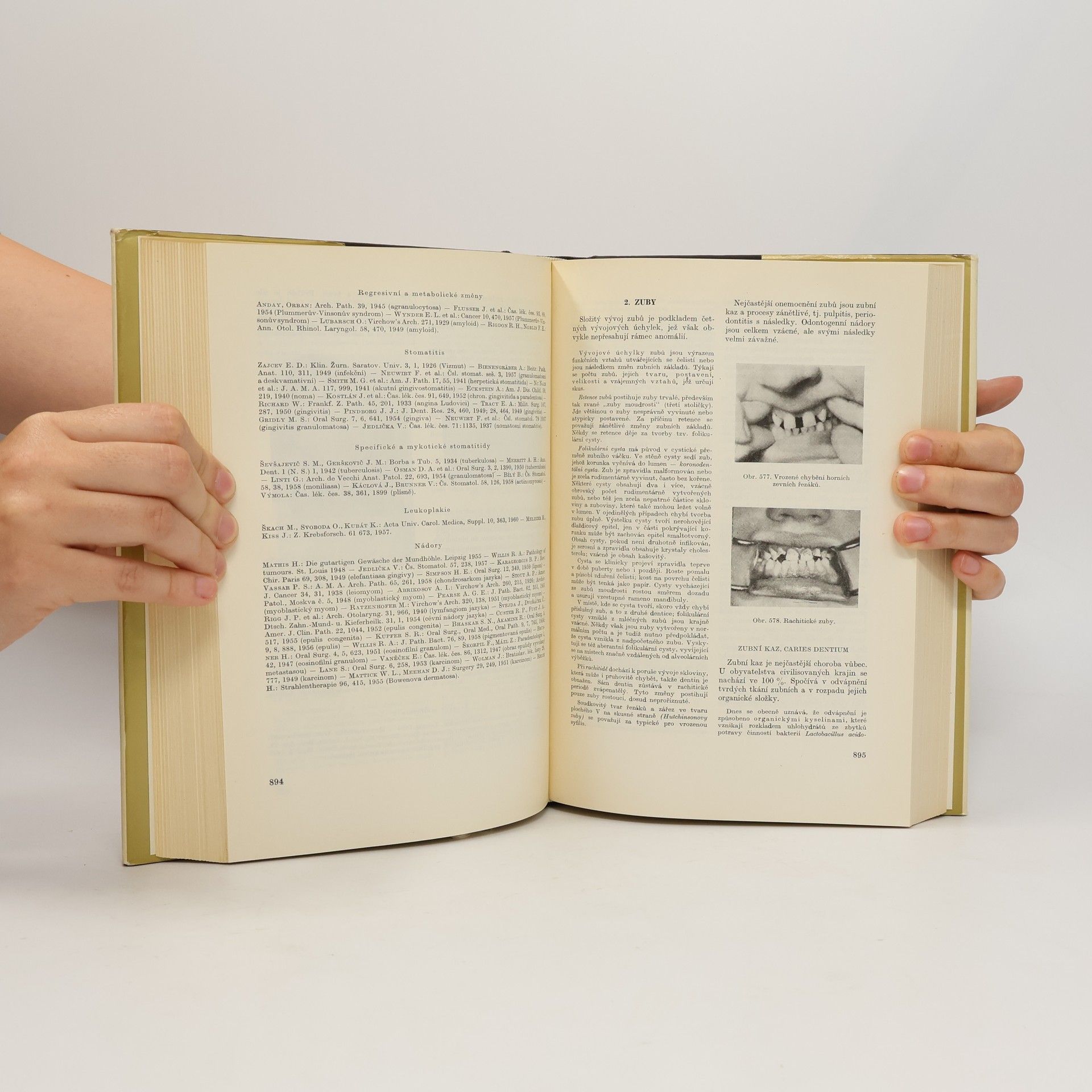 Blahoslav Bednář Patologická anatomie II/1