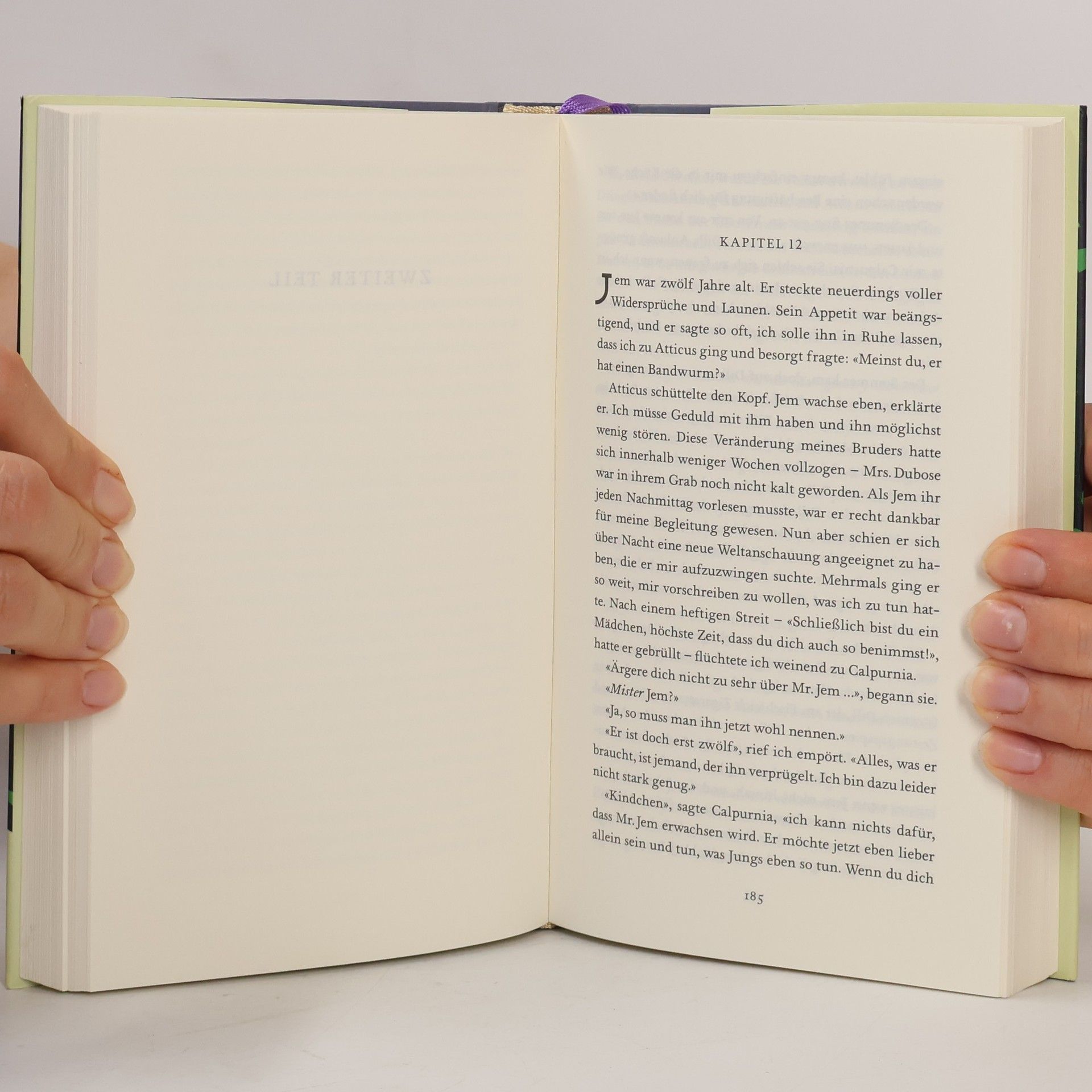 Harper Lee Wer die Nachtigall stört ...