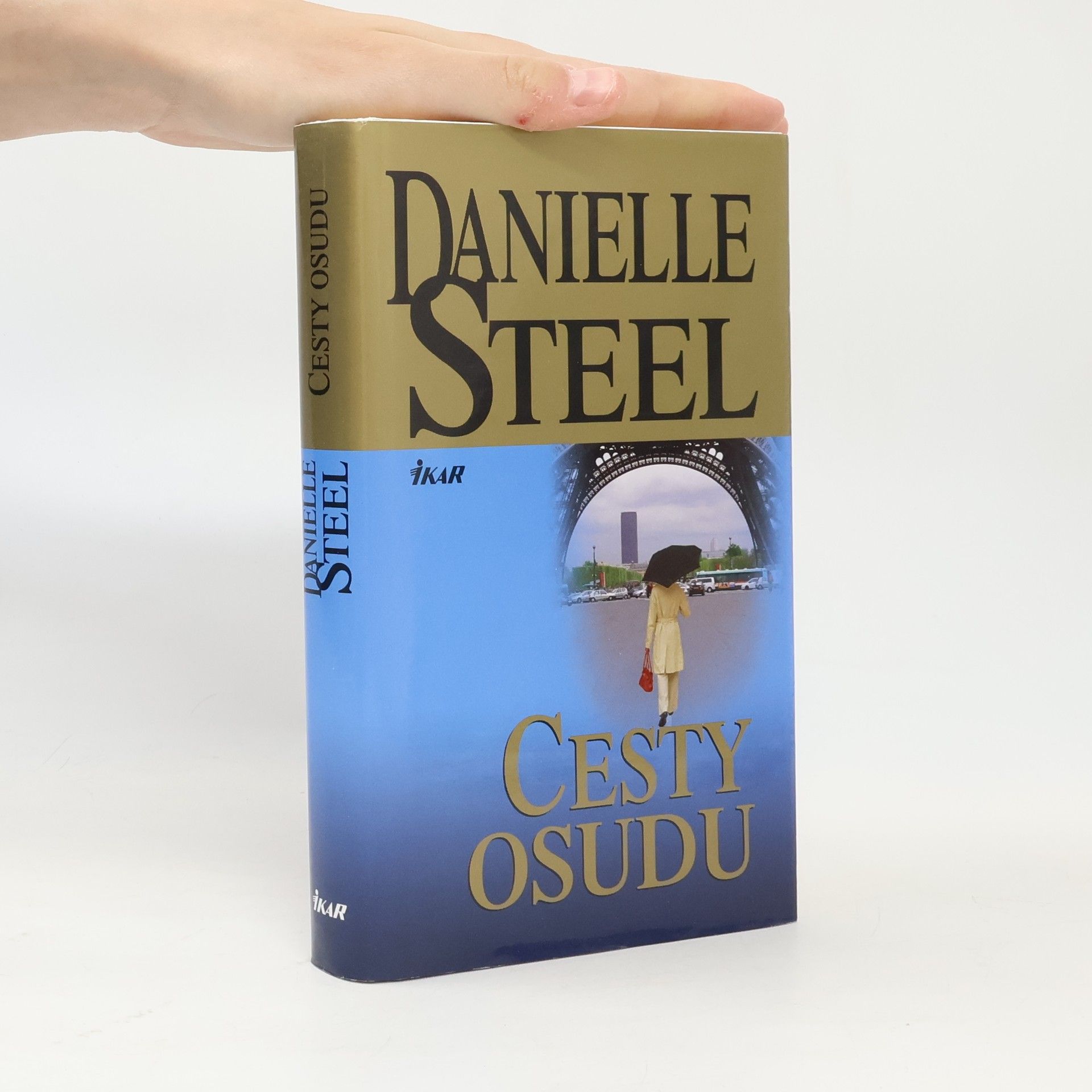 Danielle Steel Cesty osudu
