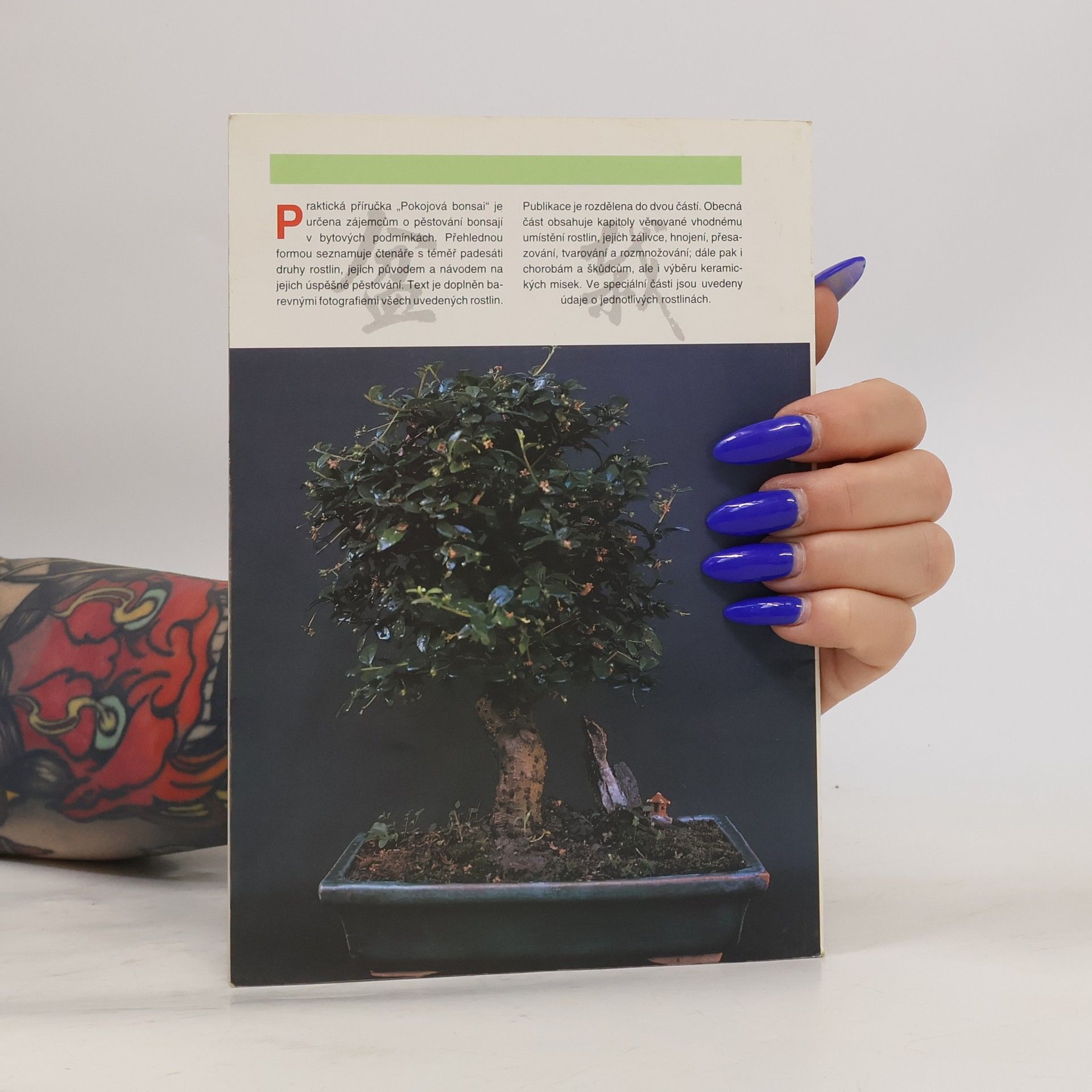 Jindřich Votýpka Pokojová bonsai