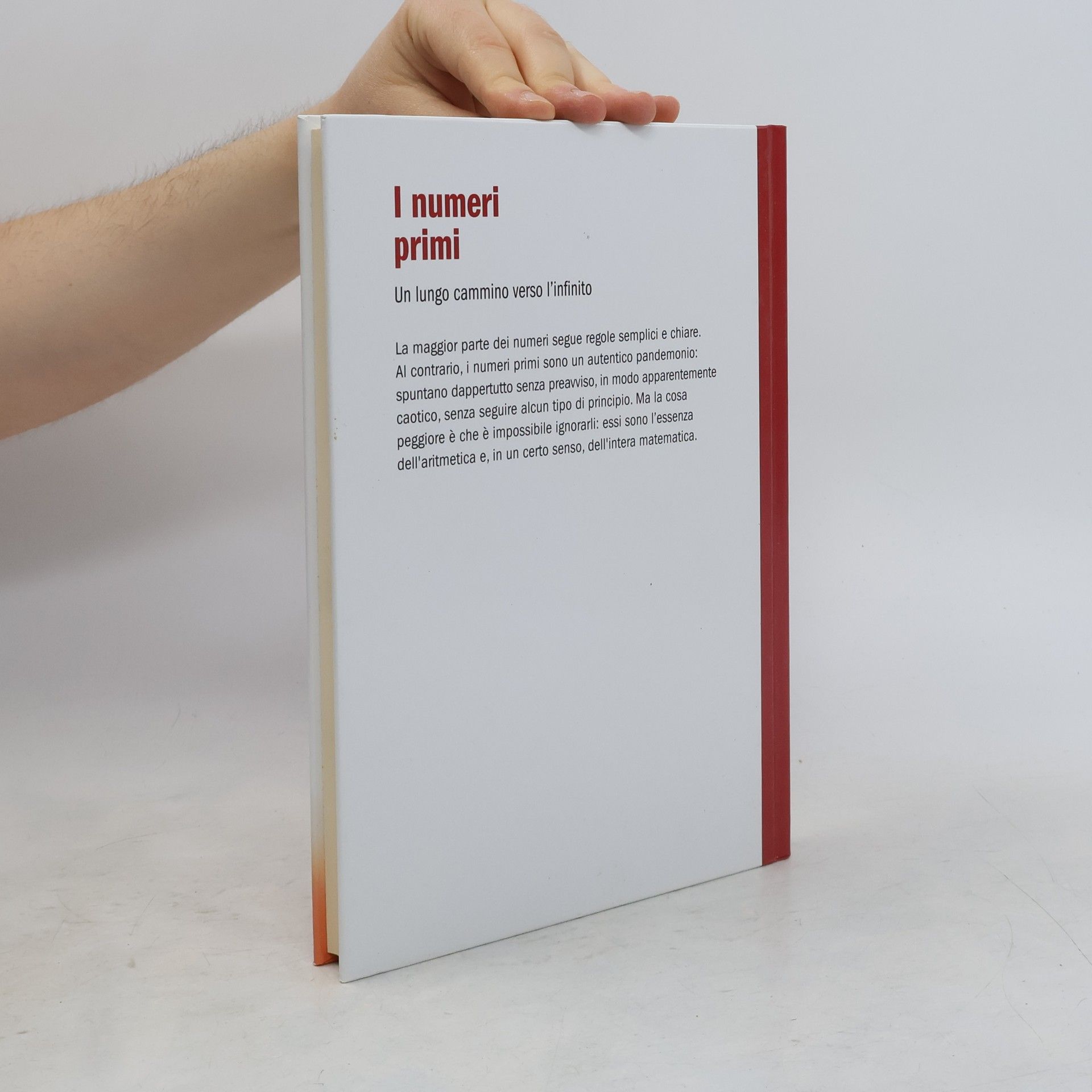 Autorenkollektiv I numeri primi