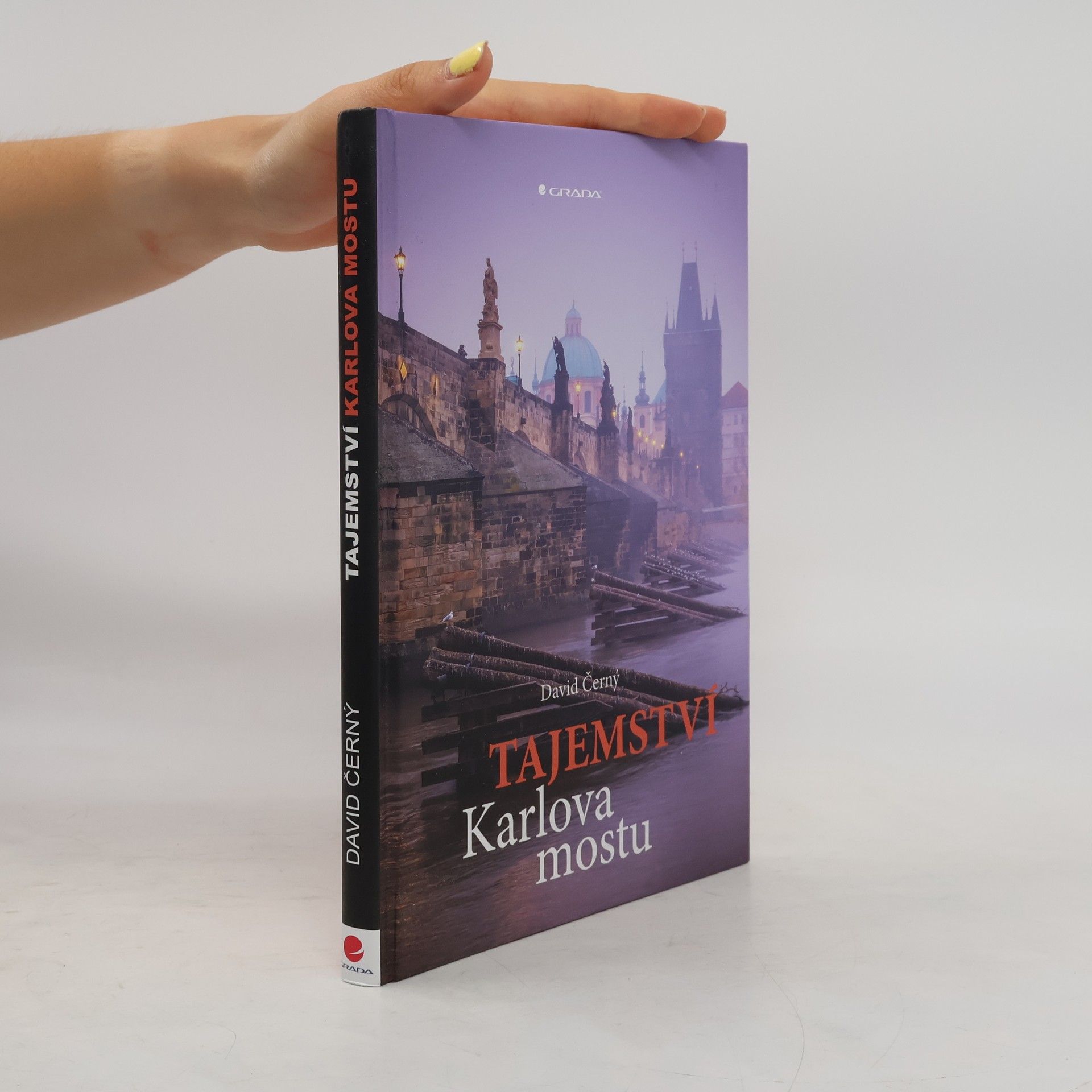 David Černý Tajemství Karlova mostu