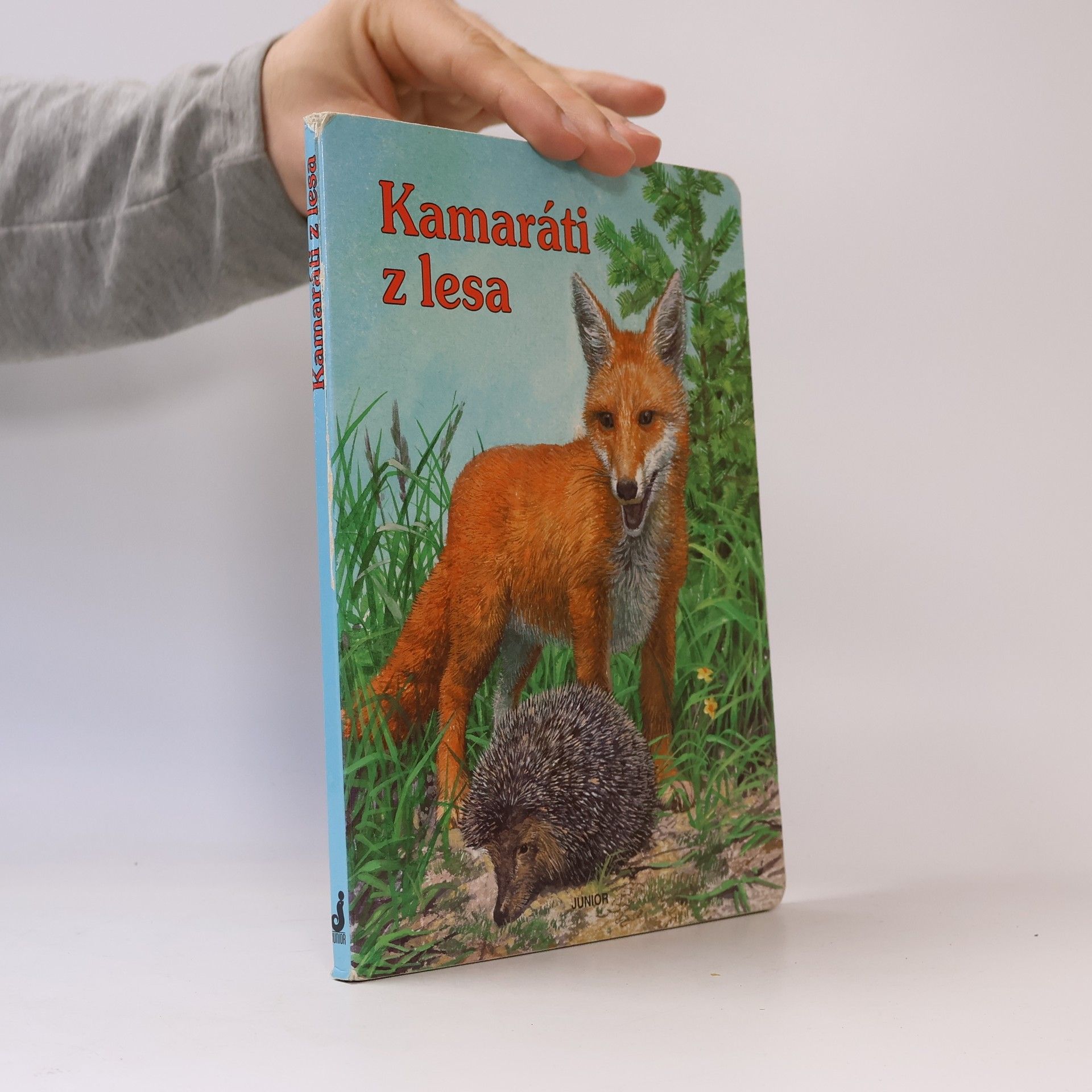 Various authors Kamaráti z lesa