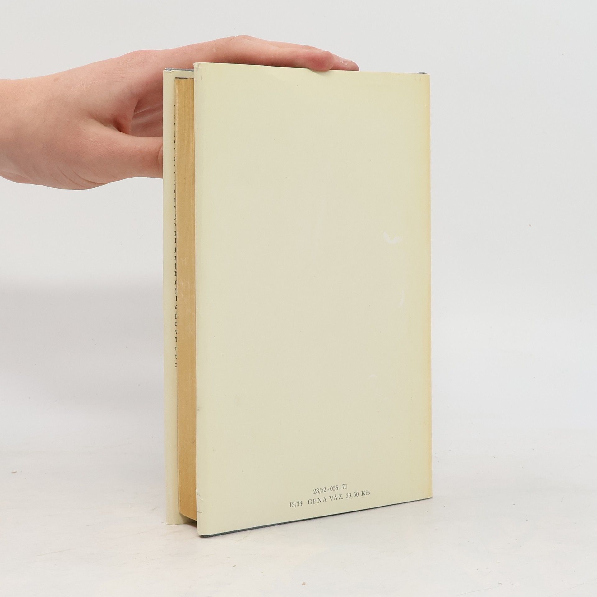 Erich Maria Remarque Vítězný oblouk