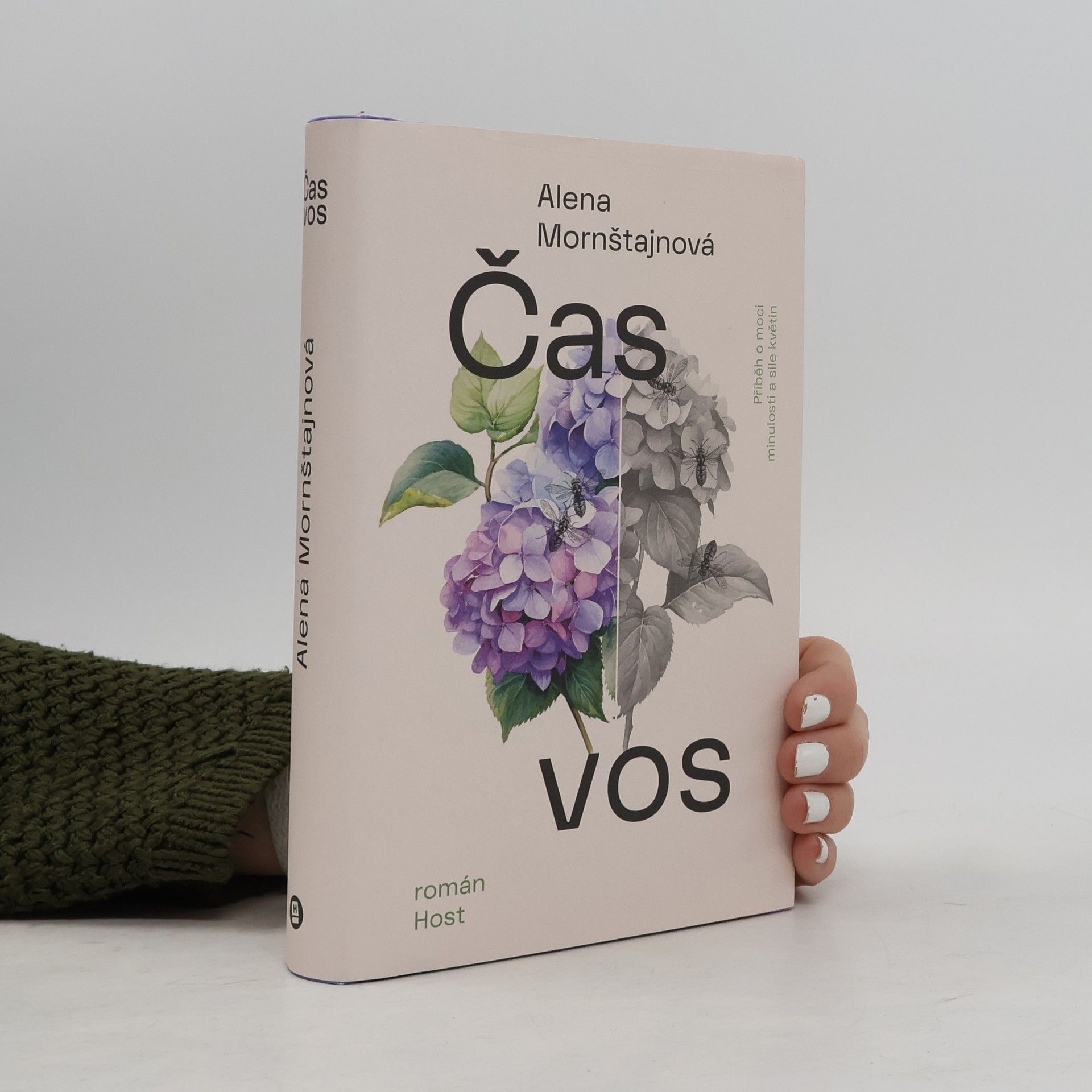 Čas vos