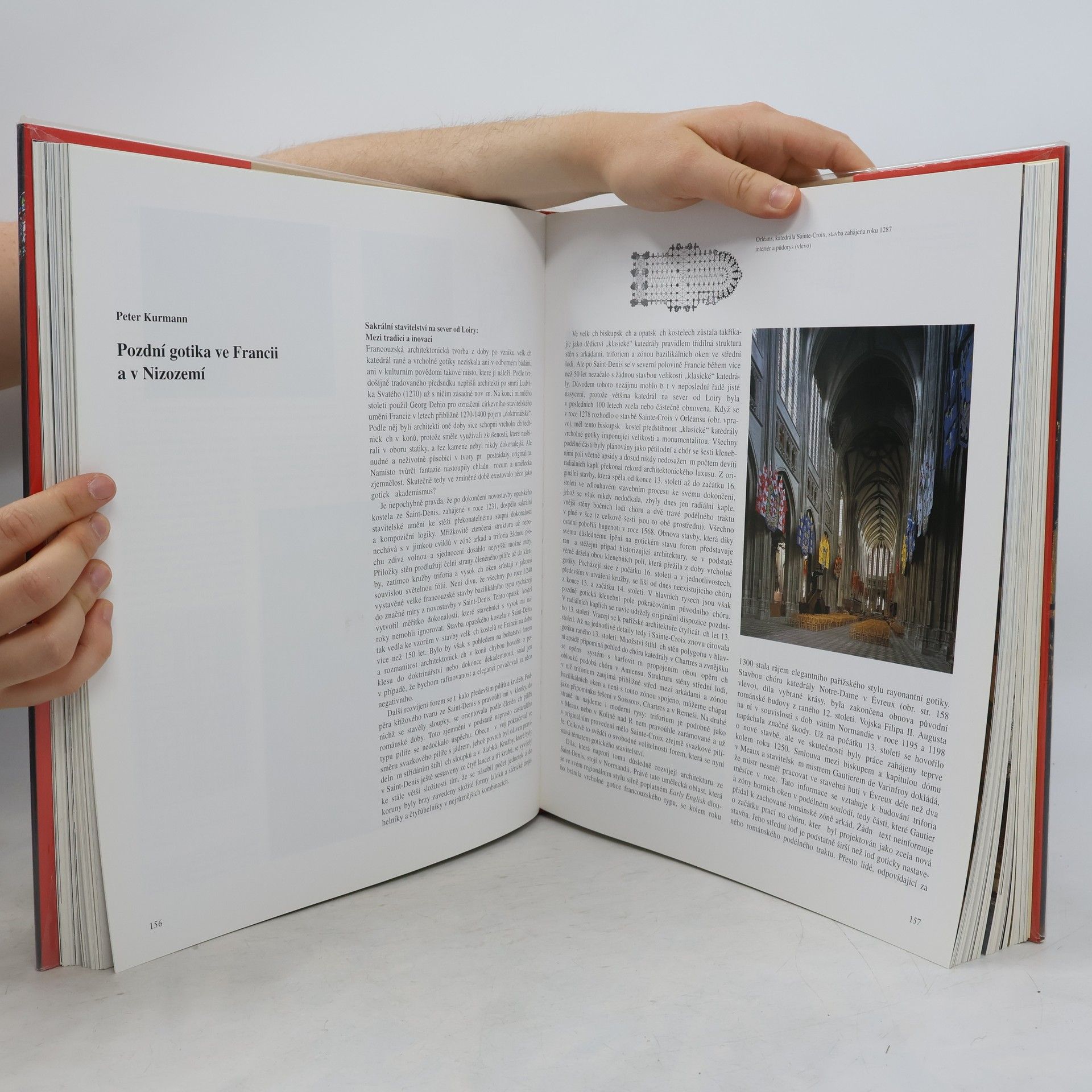 Achim Bednorz Gotika. Architektura, sochařství, malířství