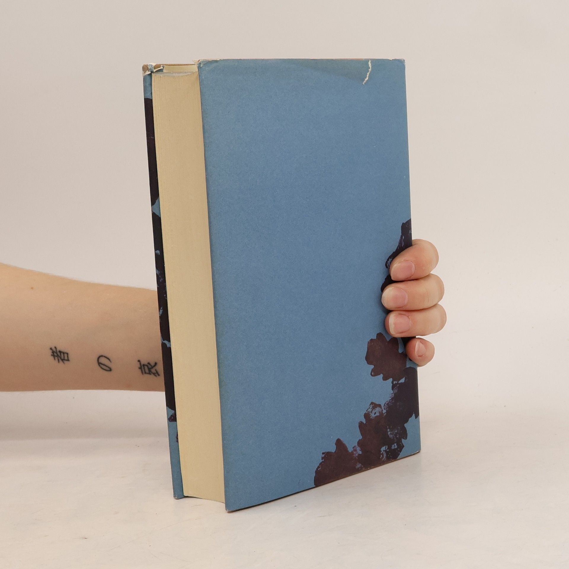Harper Lee Wer die Nachtigall stört