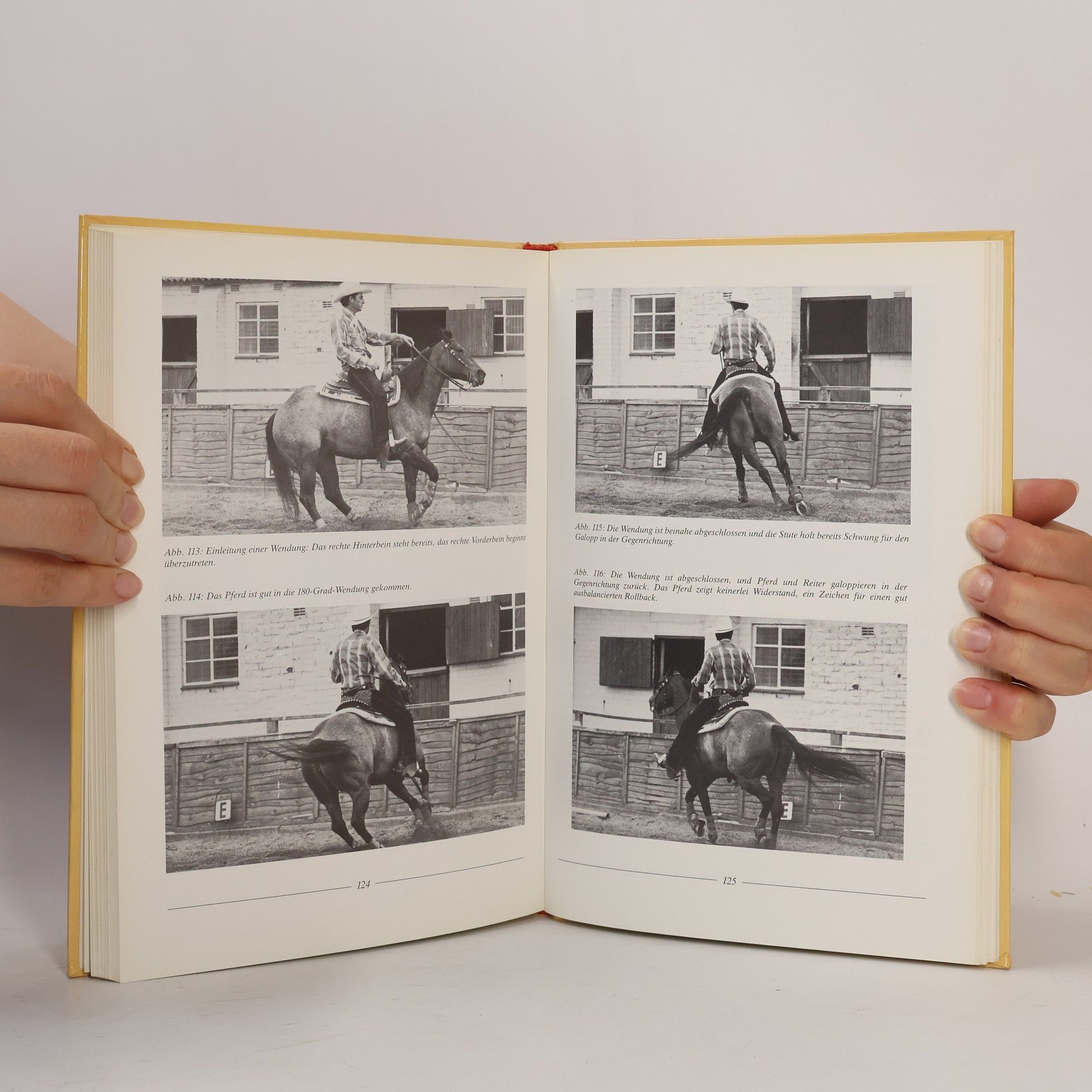 Bob Mayhew Die Kunst des Westernreitens