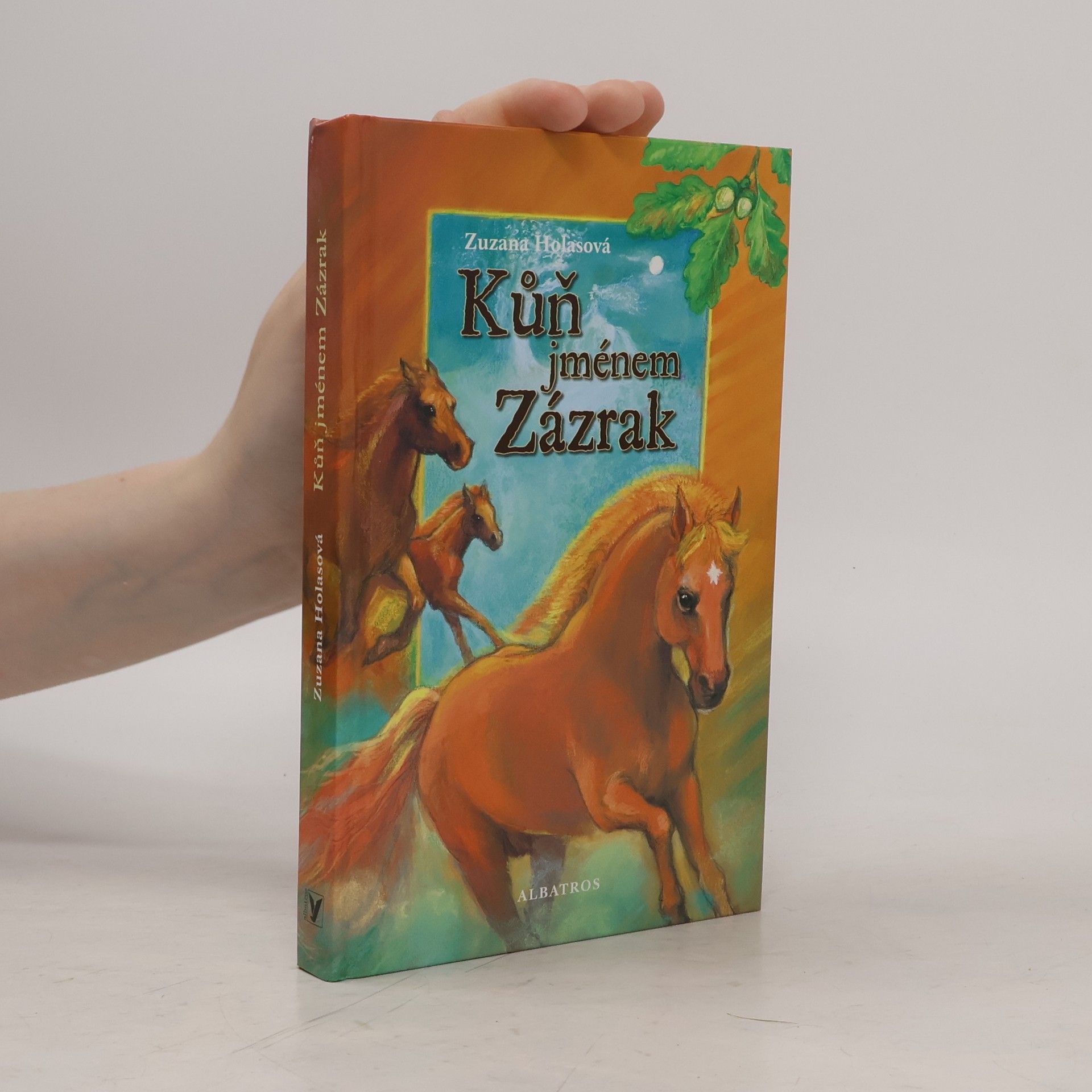 Zuzana Holasová Kůň jménem Zázrak