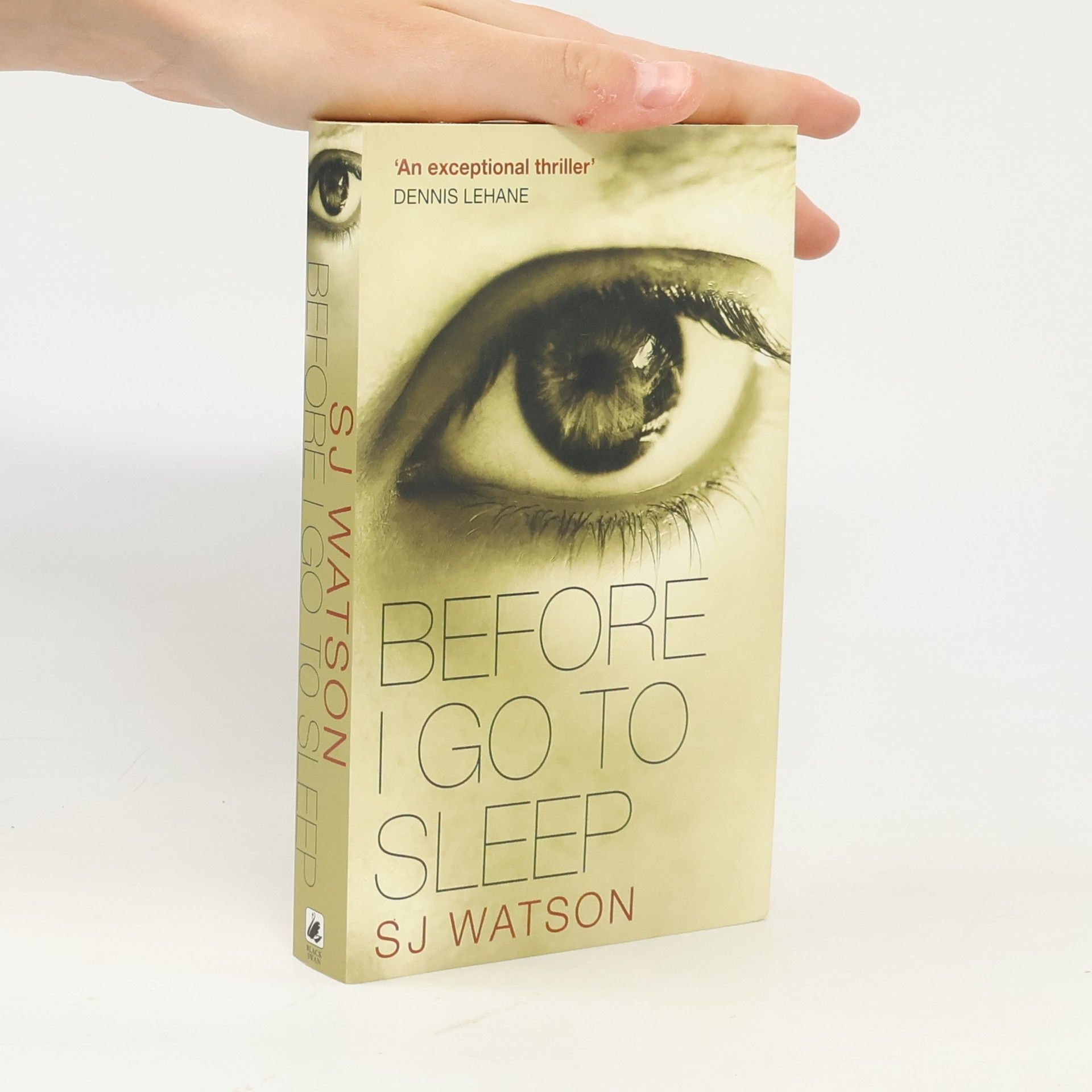 S. J. Watson Before I Go to Sleep