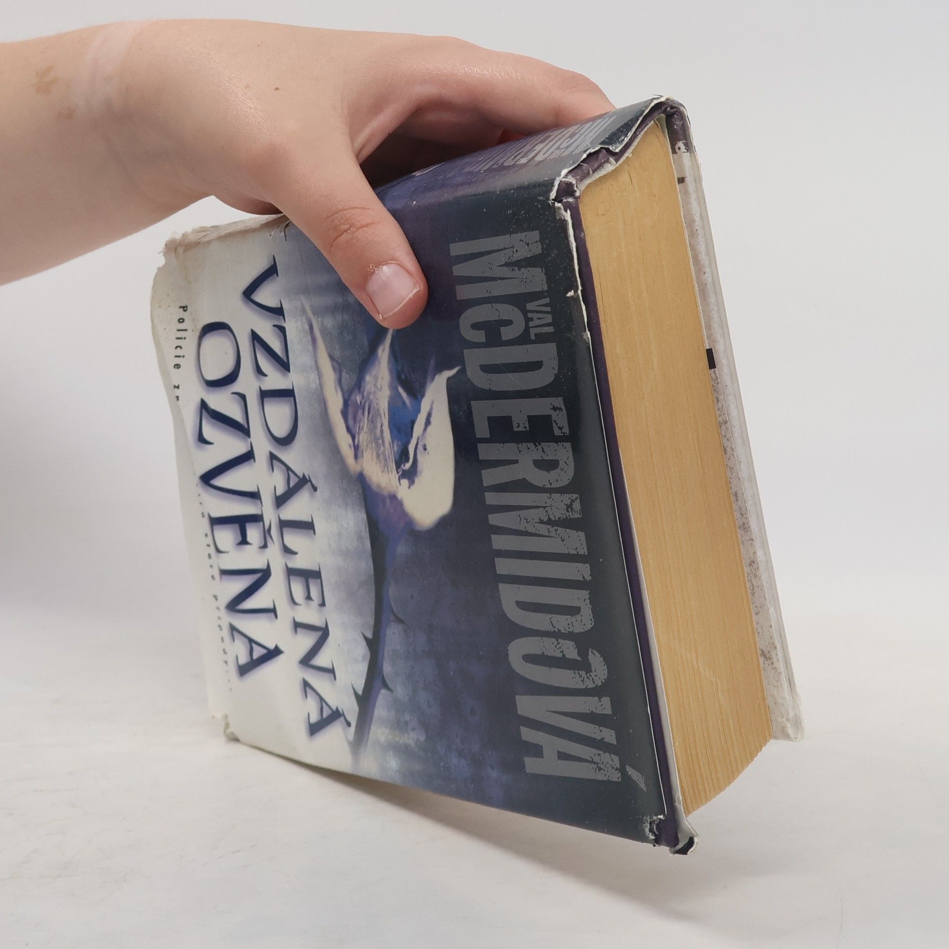 Val McDermid Vzdálená ozvěna