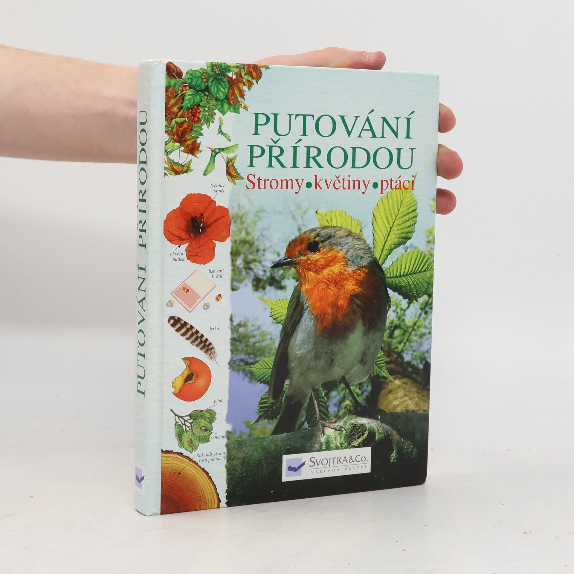 Kolektiv autorů Putování přírodou: Stromy, květiny, ptáci