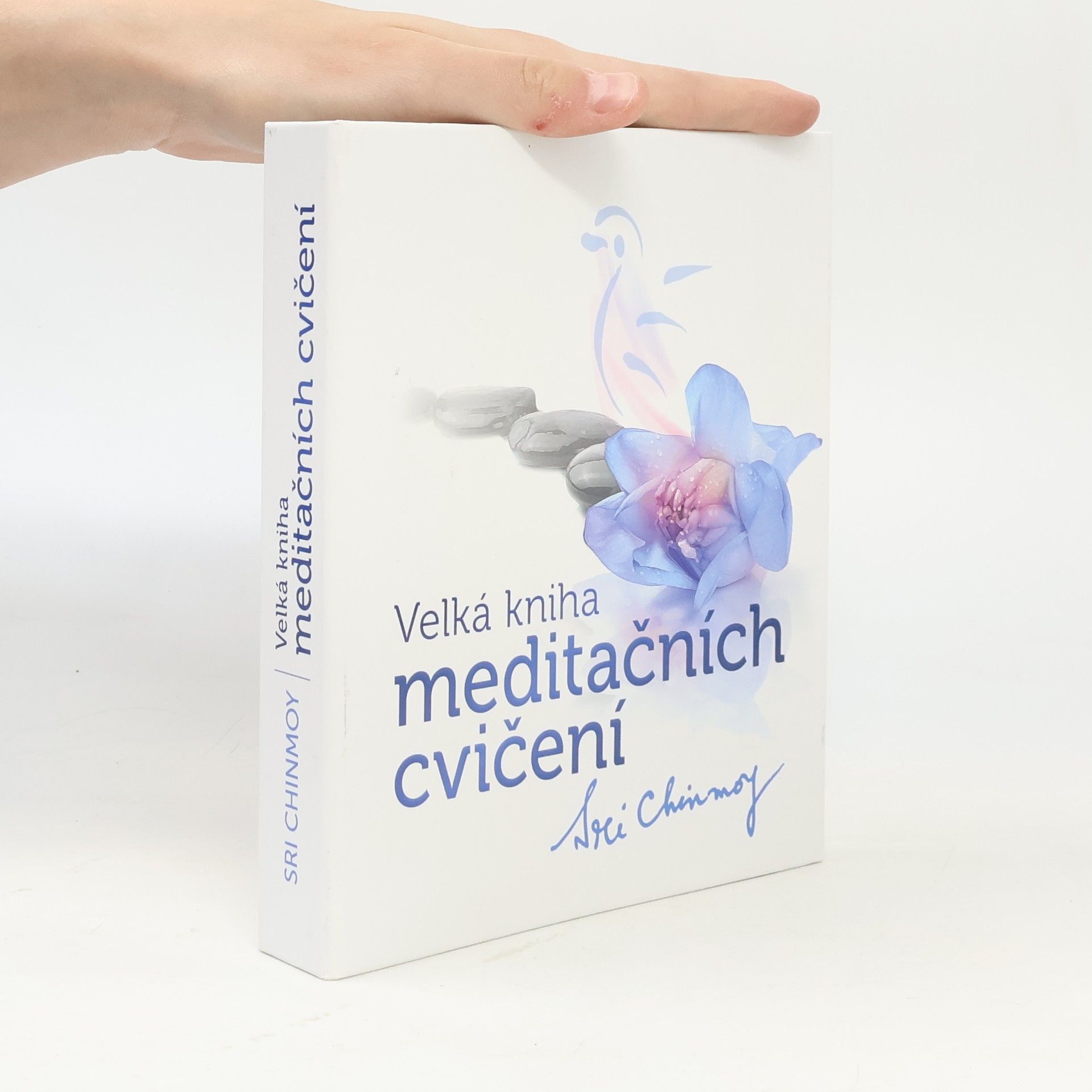 Sri Chinmoy Velká kniha meditačních cvičení