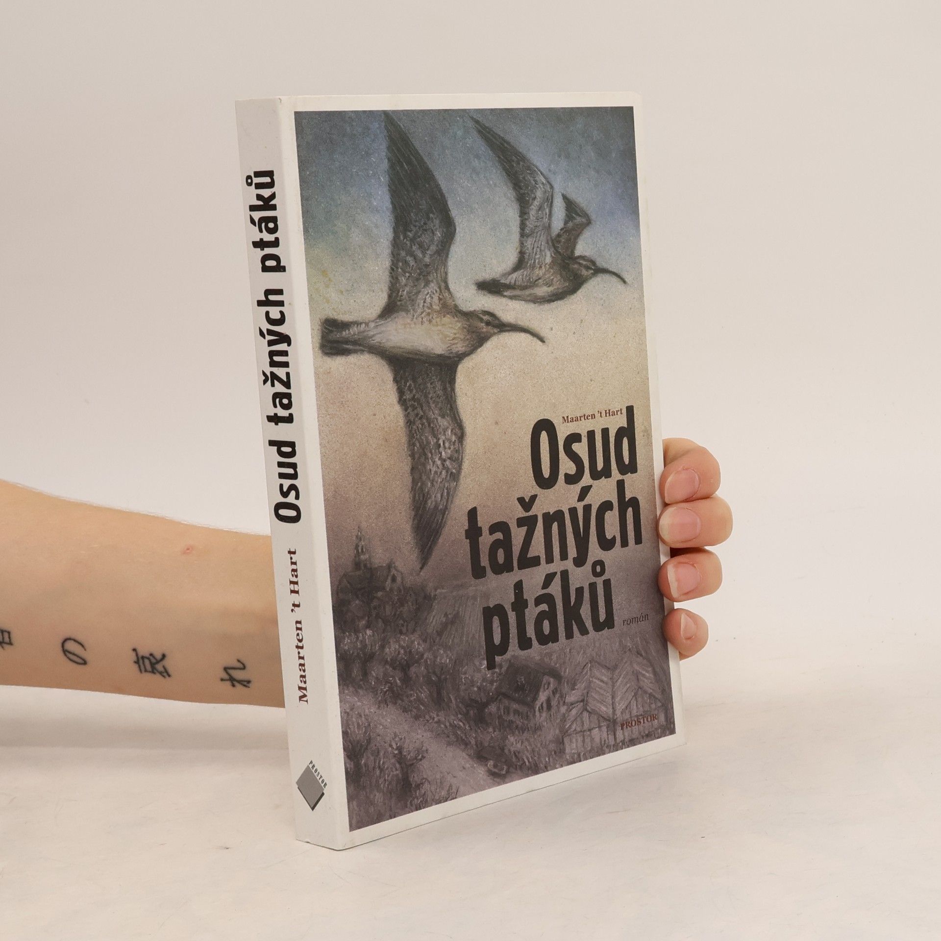 Maarten 't Hart Osud tažných ptáků