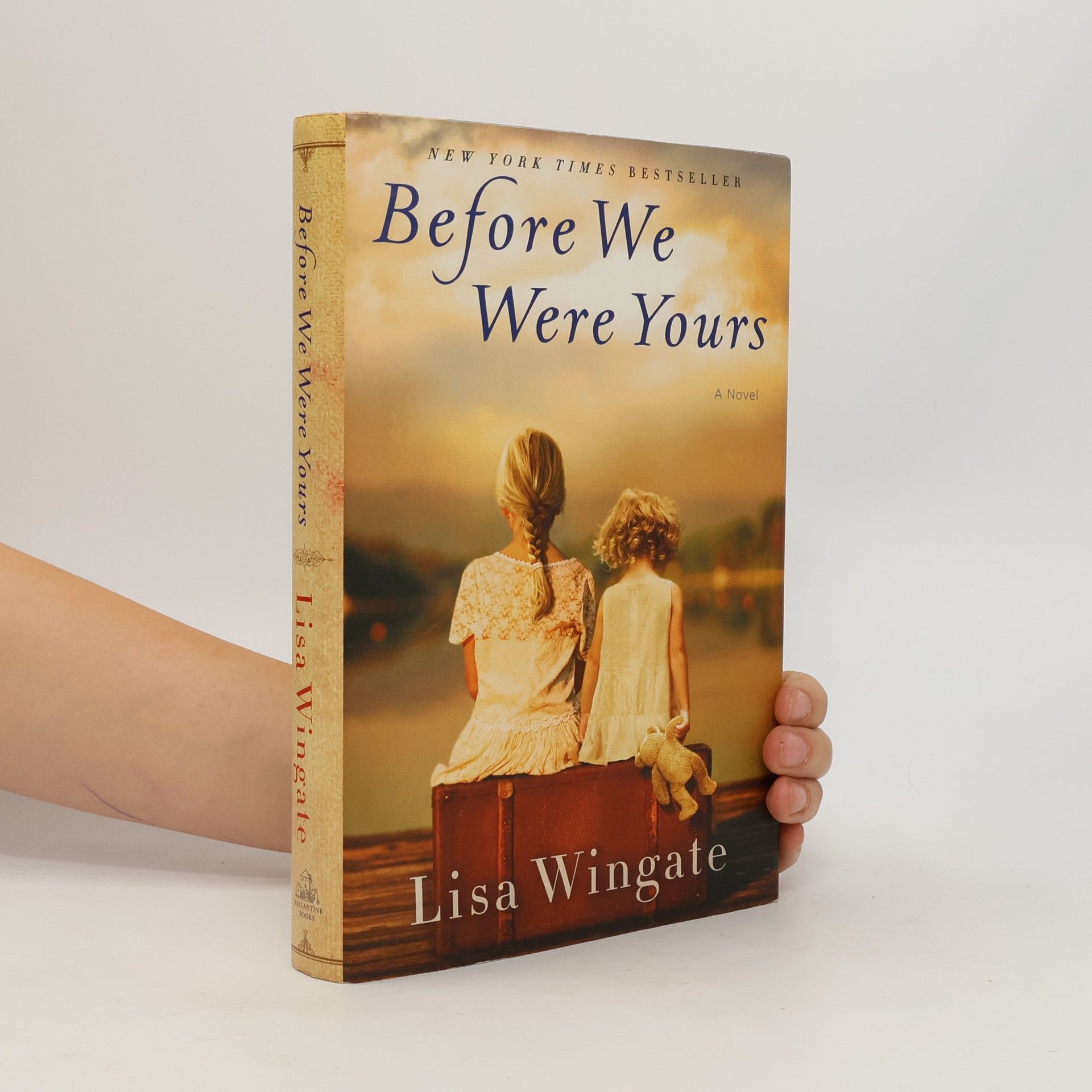 Lisa Wingate Before We Were Yours