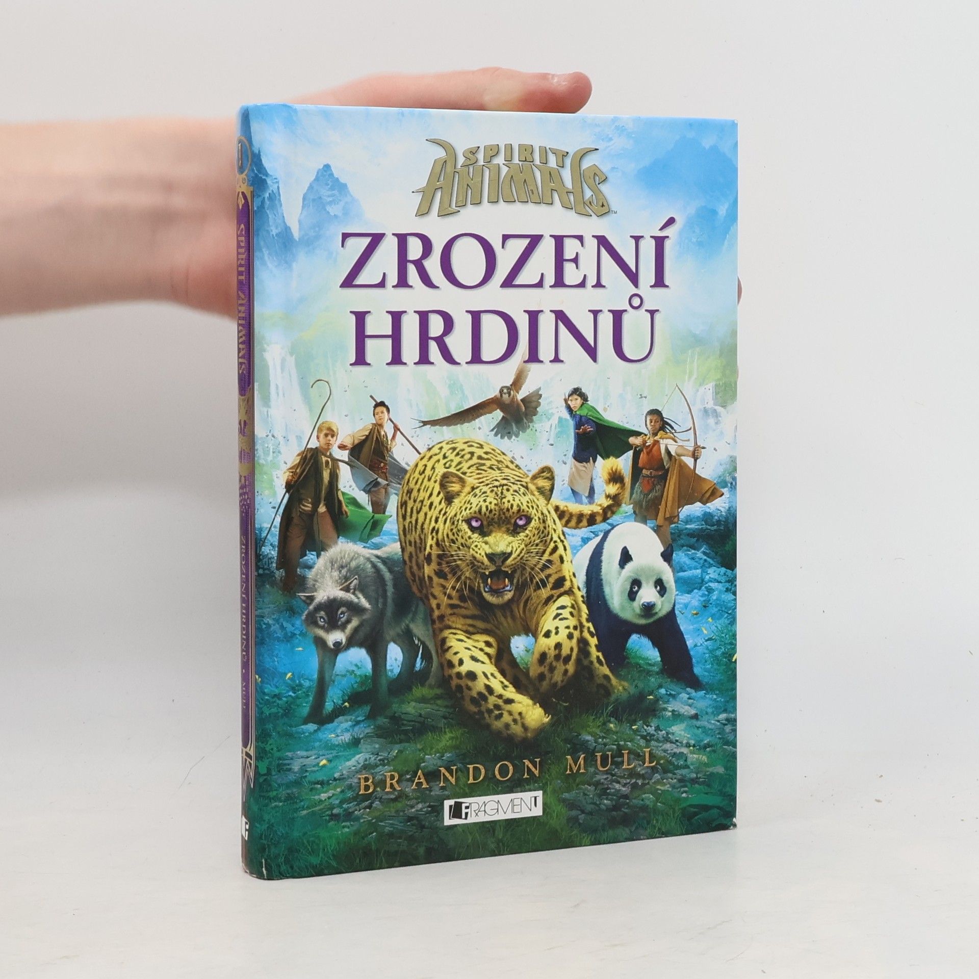 Brandon Mull Zrození hrdinů