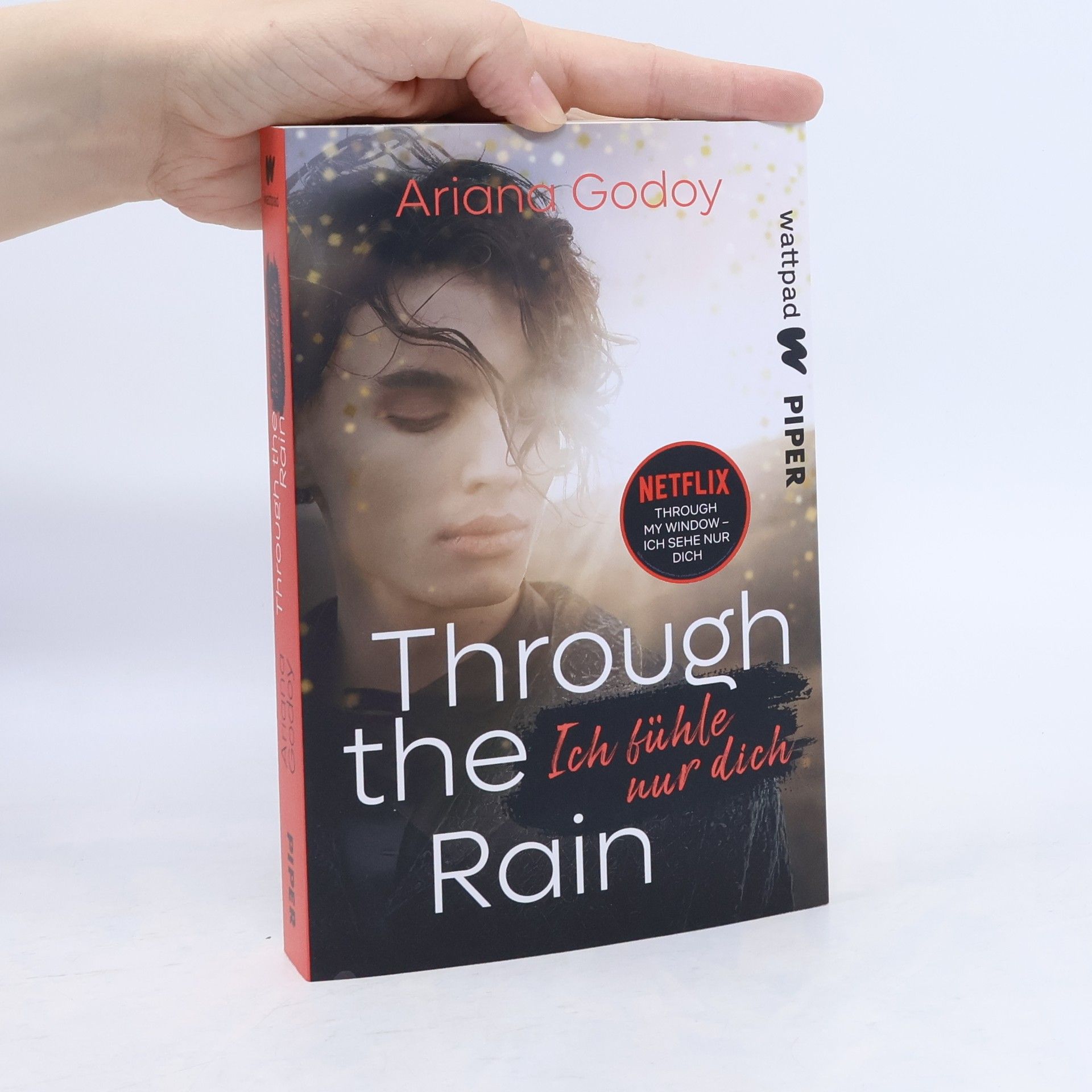 Ariana Godoy Through the Rain – Ich fühle nur dich