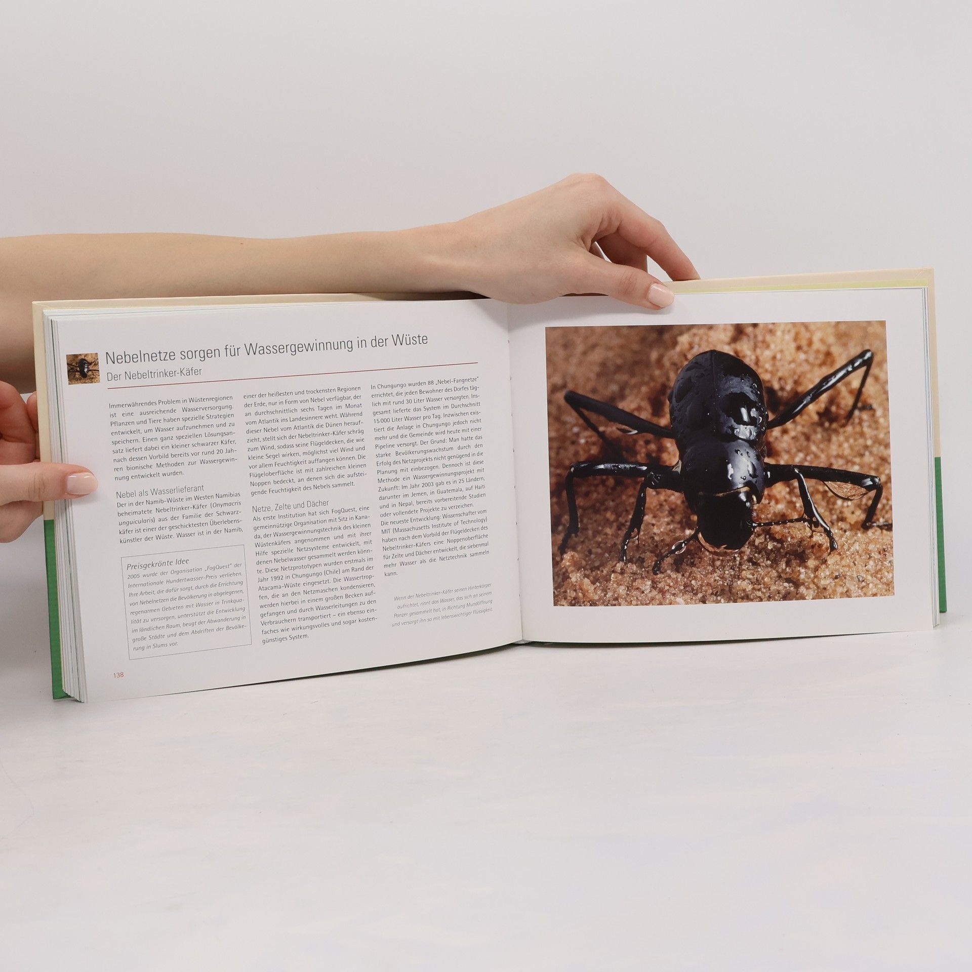 Birgit Kuhn Bionik - Der Natur abgeschaut