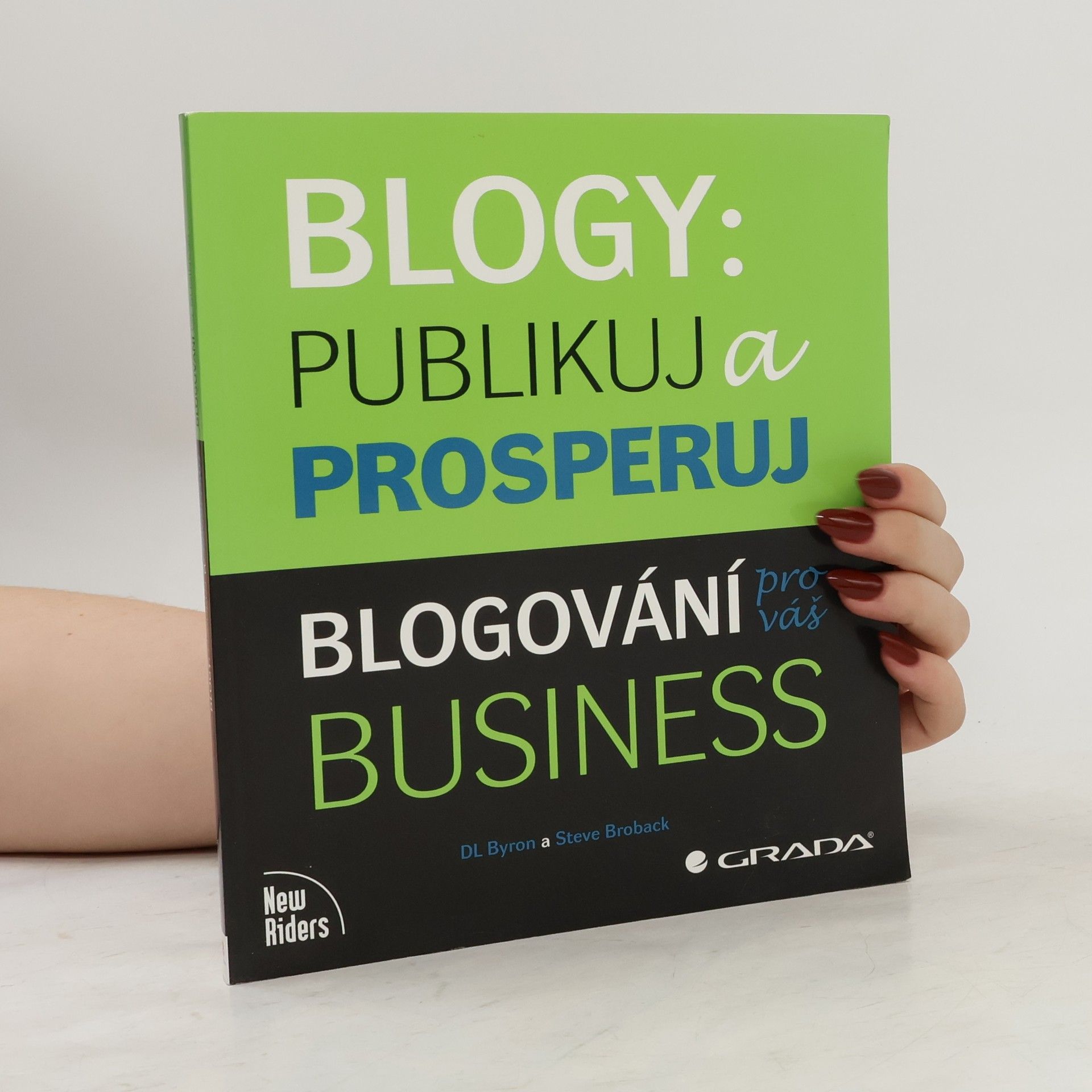 Steve Broback Blogy: publikuj a prosperuj: Blogování pro váš business
