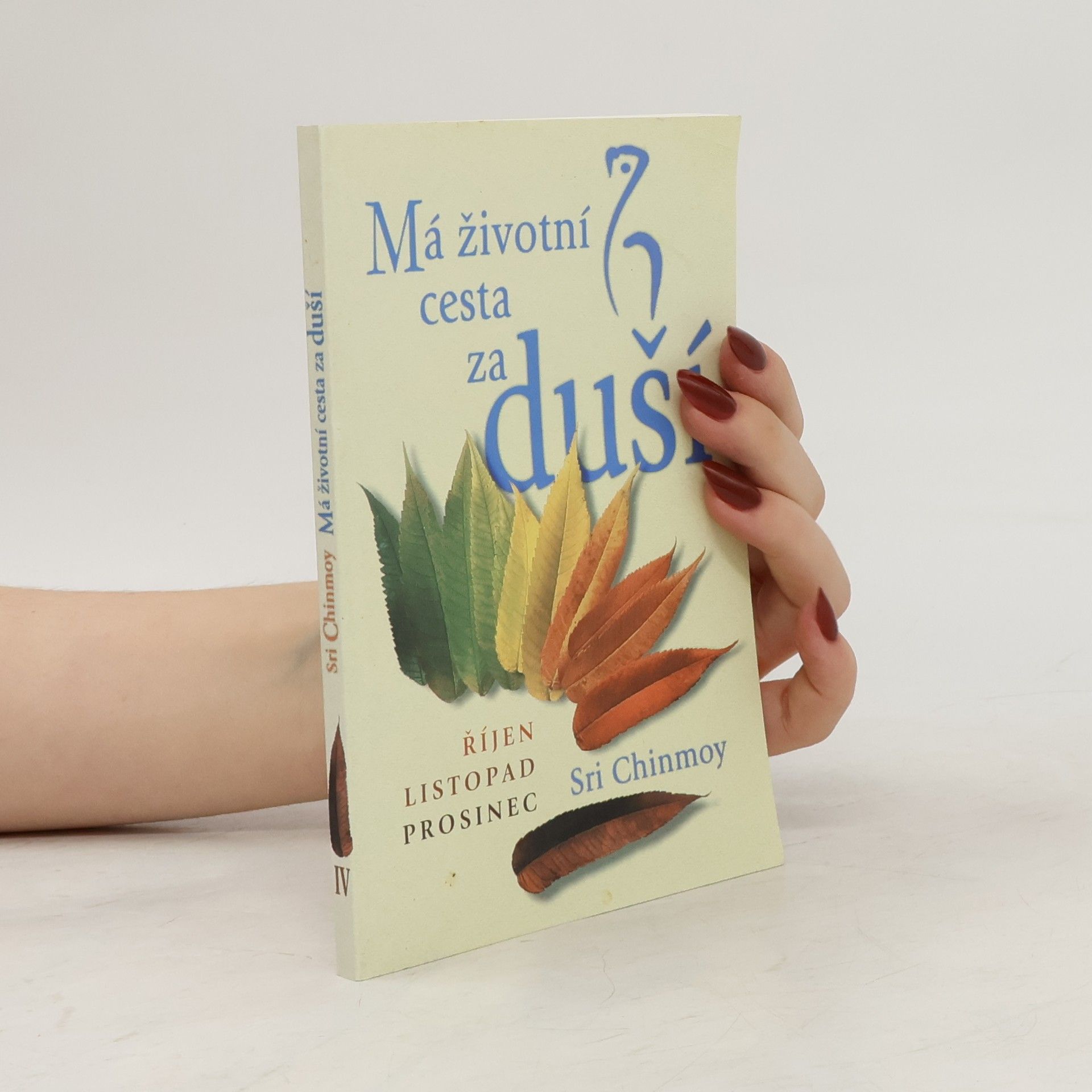 Chinmoy Má životní cesta za duší. Díl 4. Říjen-Prosinec
