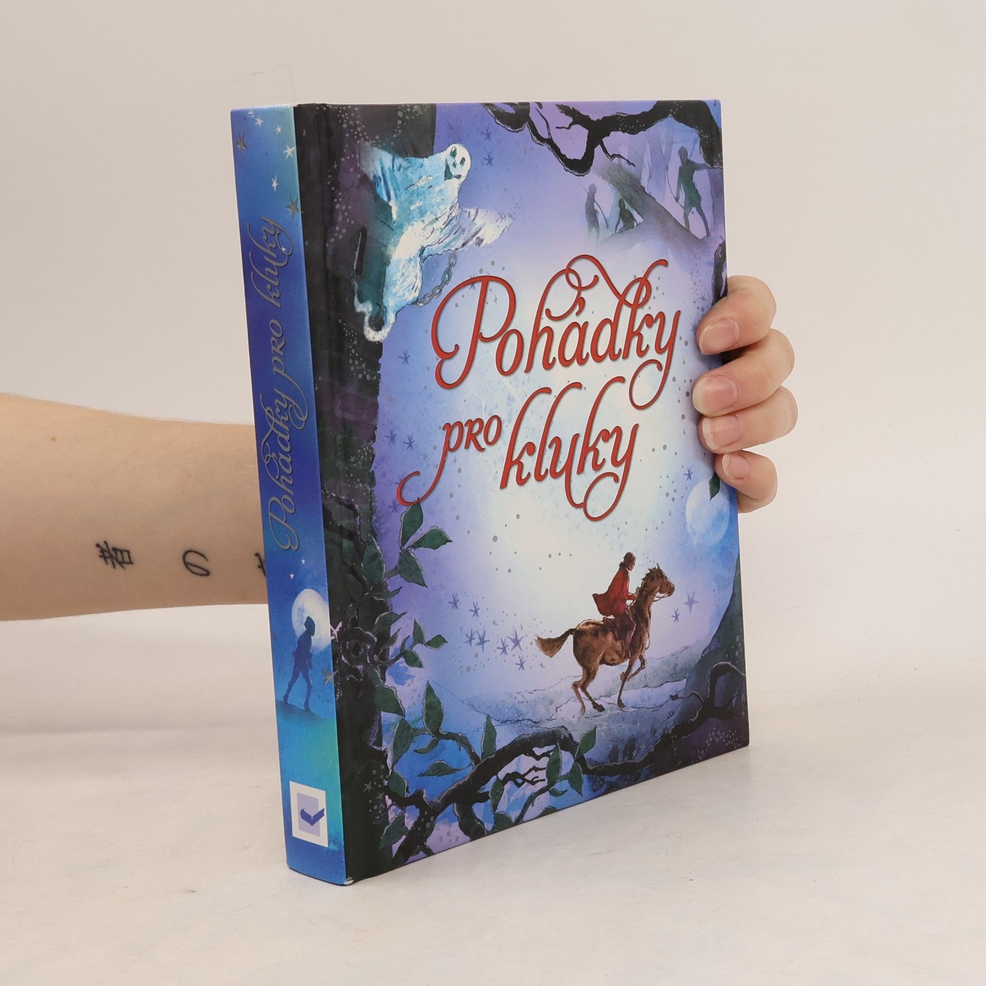 Kolektív autorov Pohádky pro kluky