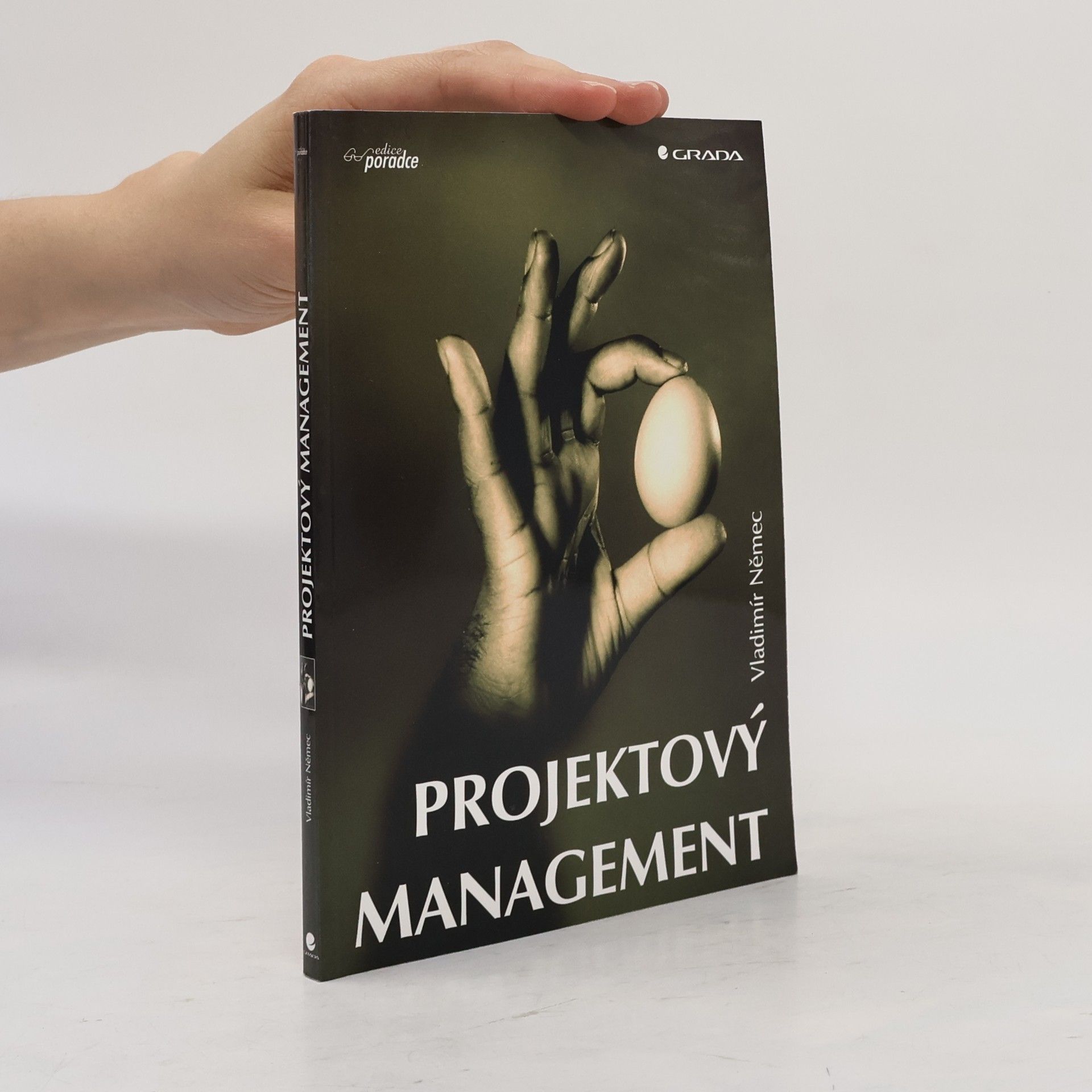 Projektový management