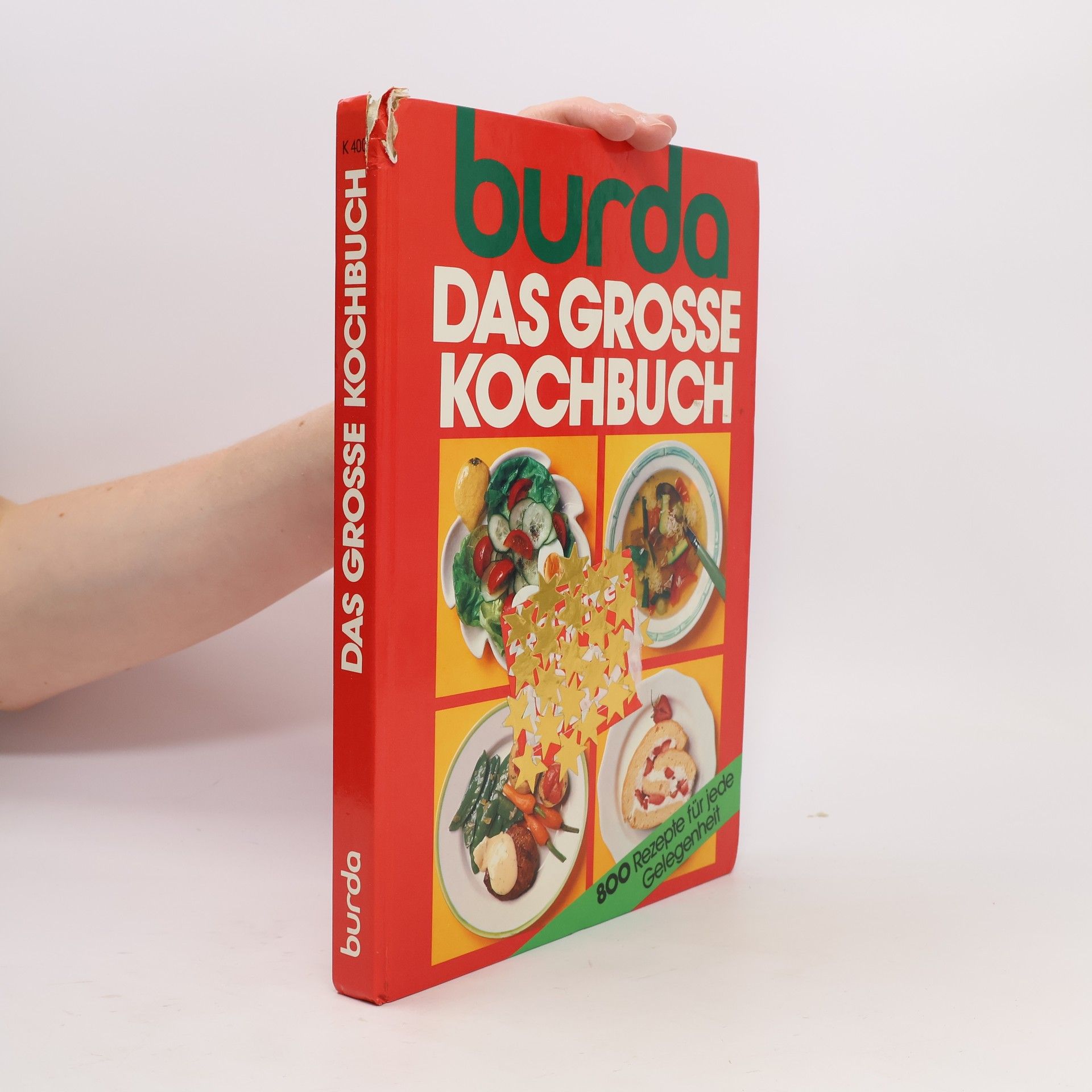 Renate Derndinger Das grosse Kochbuch