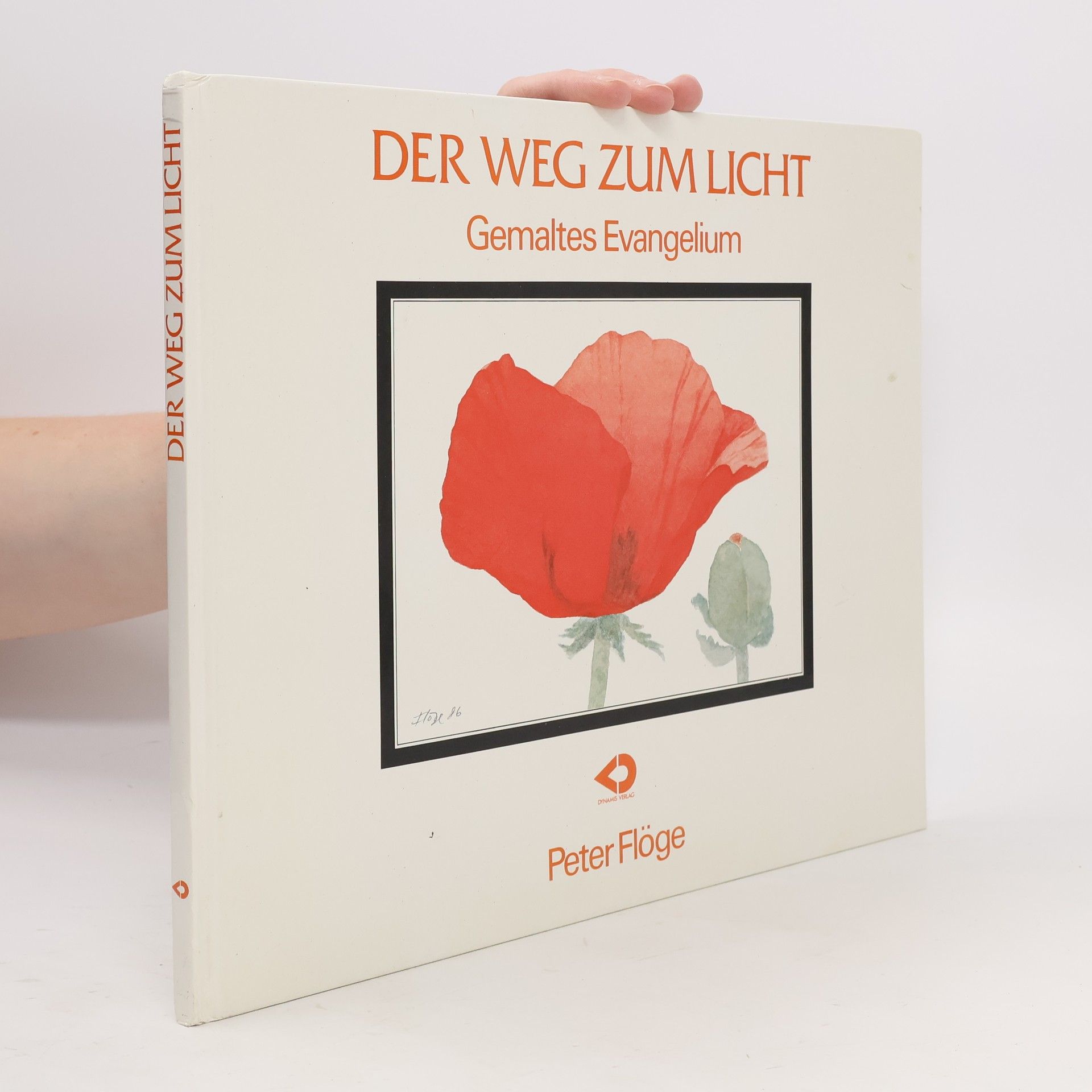 Peter Flöge Der Weg zum Licht