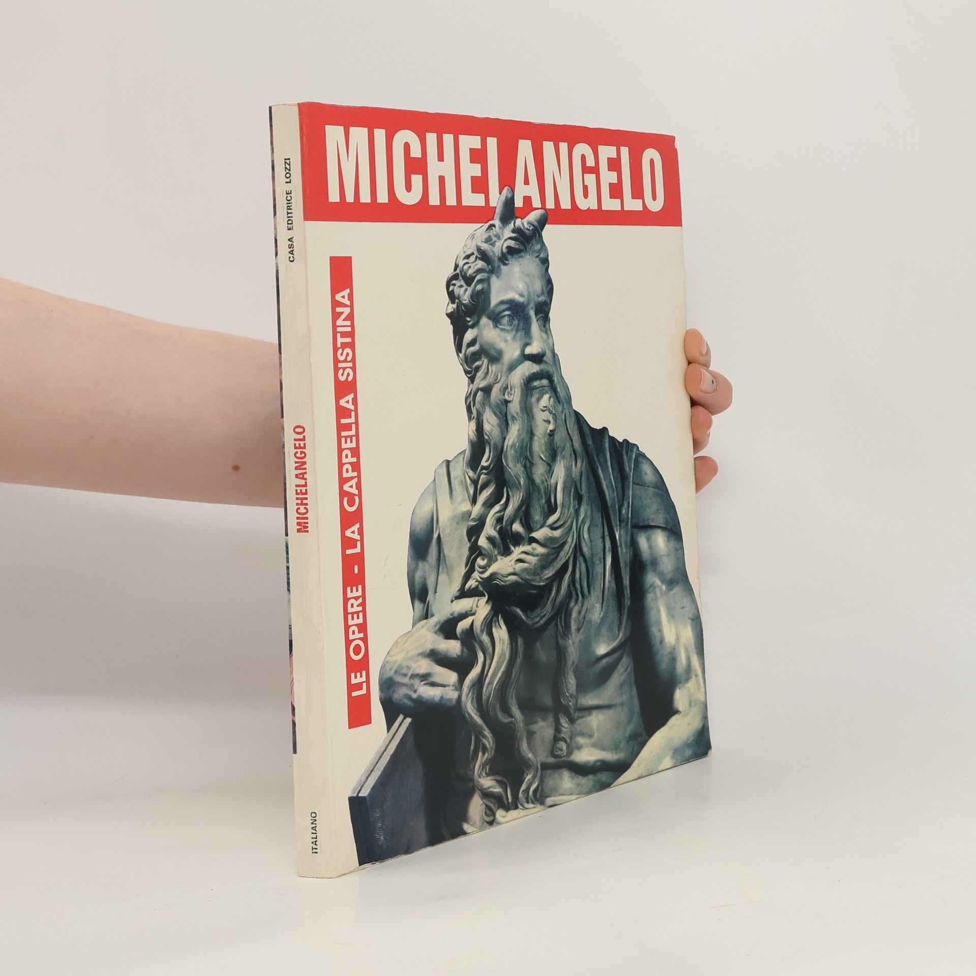 W. McCornick Michelangelo