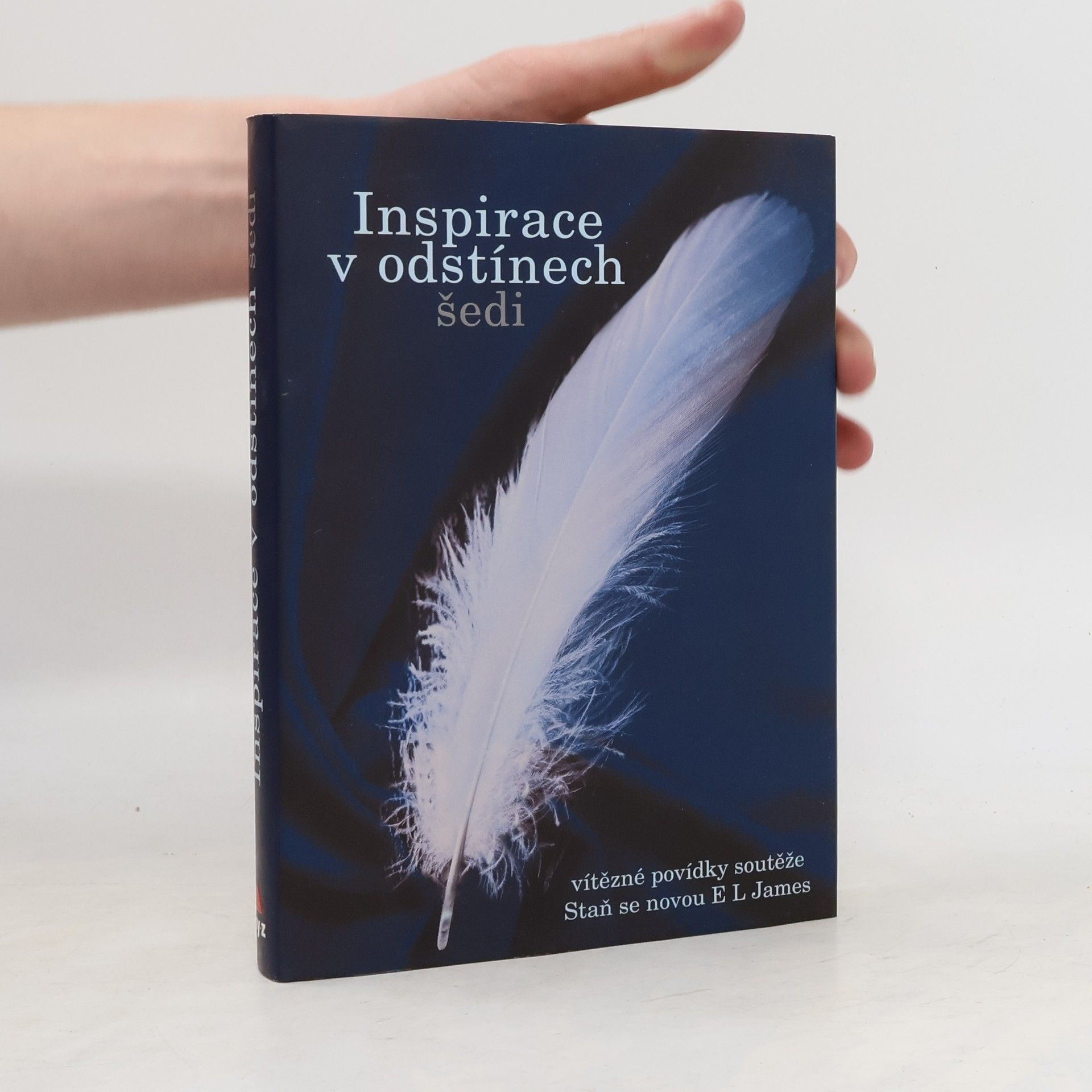 Autorenkollektiv Inspirace v odstínech šedi - Vítězné povídky soutěže Staň se novou E L James