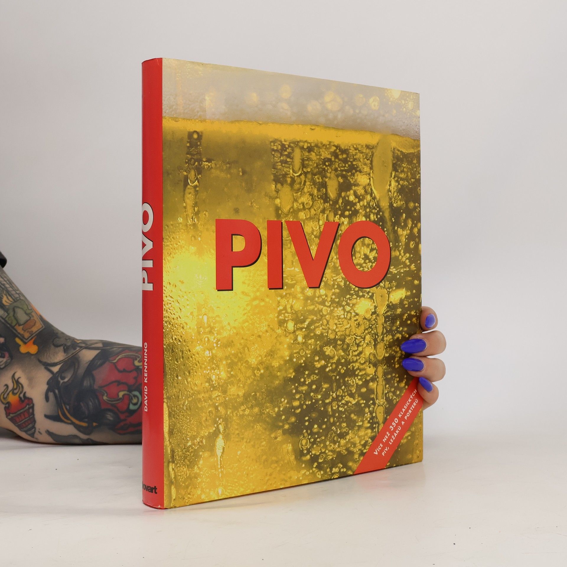 David Kenning Pivo: Více než 350 klasických piv, ležáků a porterů