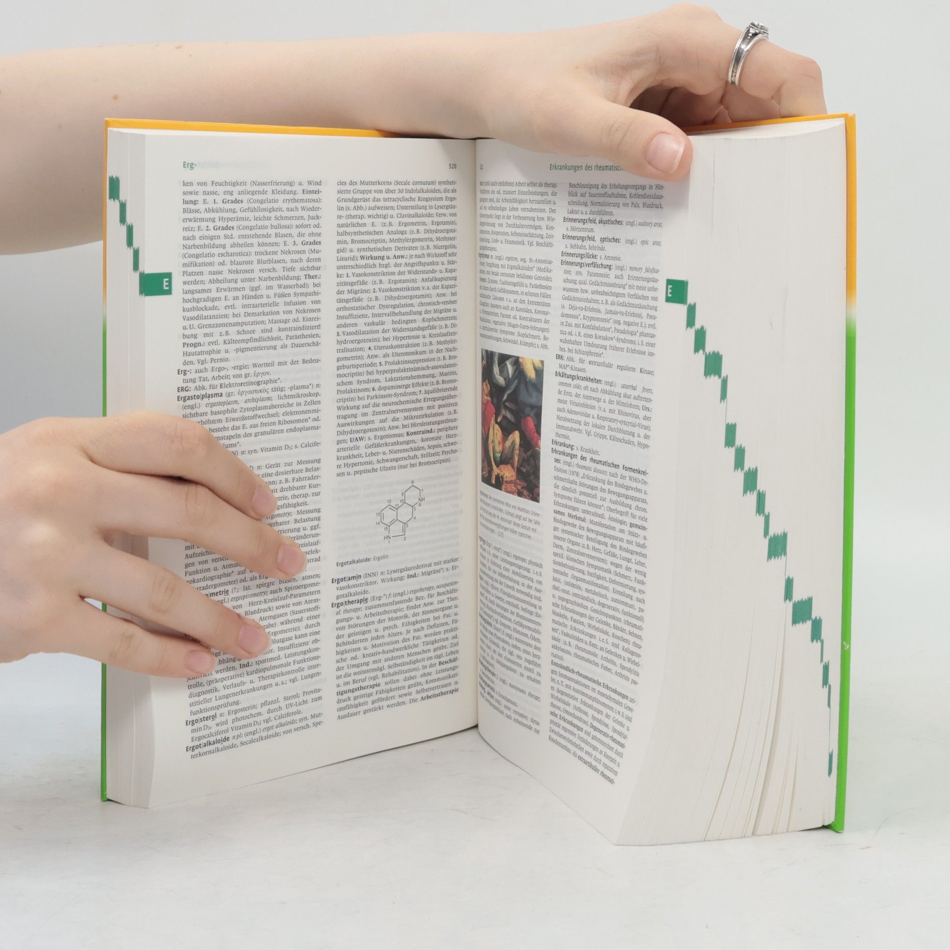 Willibald Pschyrembel Pschyrembel Klinisches Wörterbuch