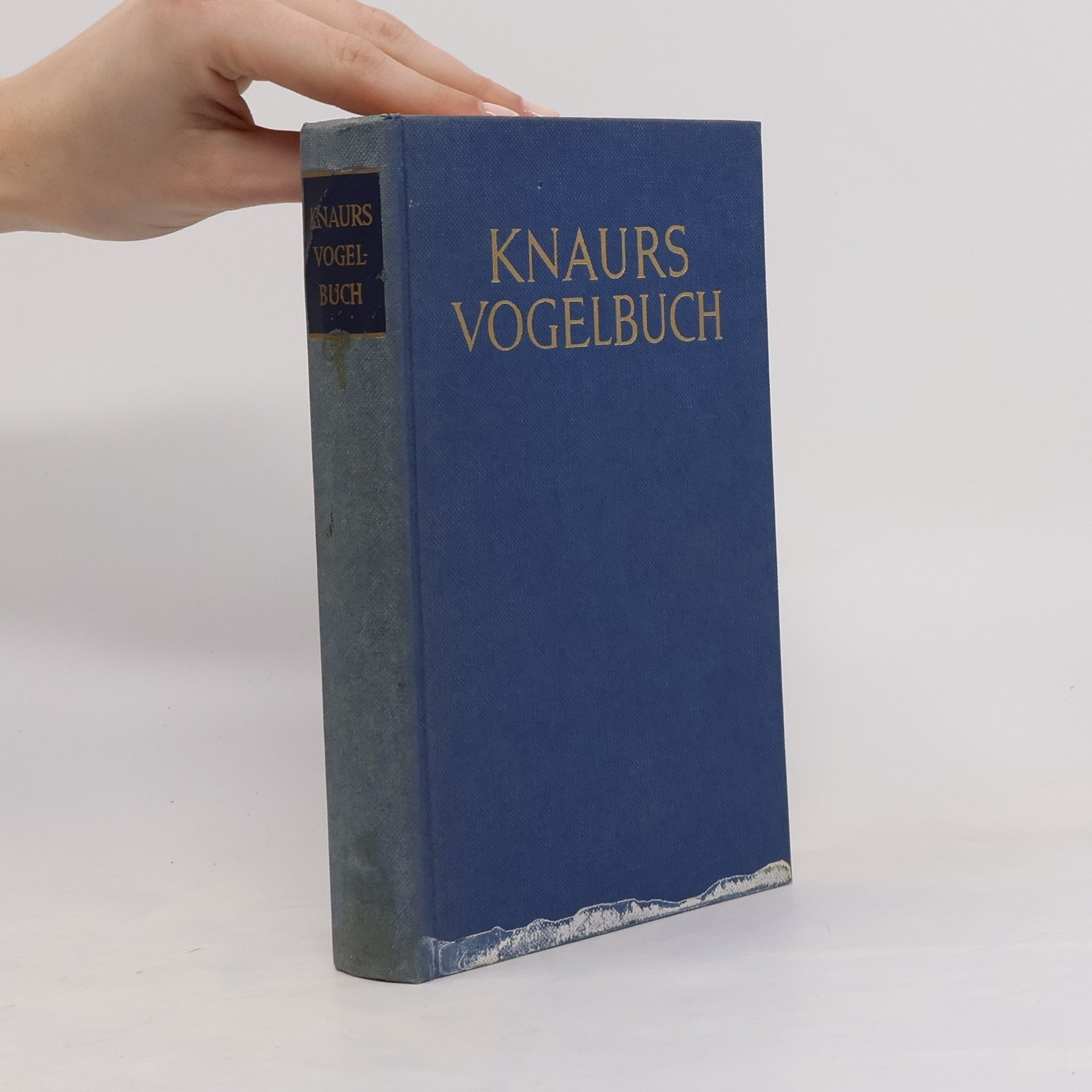 Georg Steinbacher Knaurs Vogelbuch