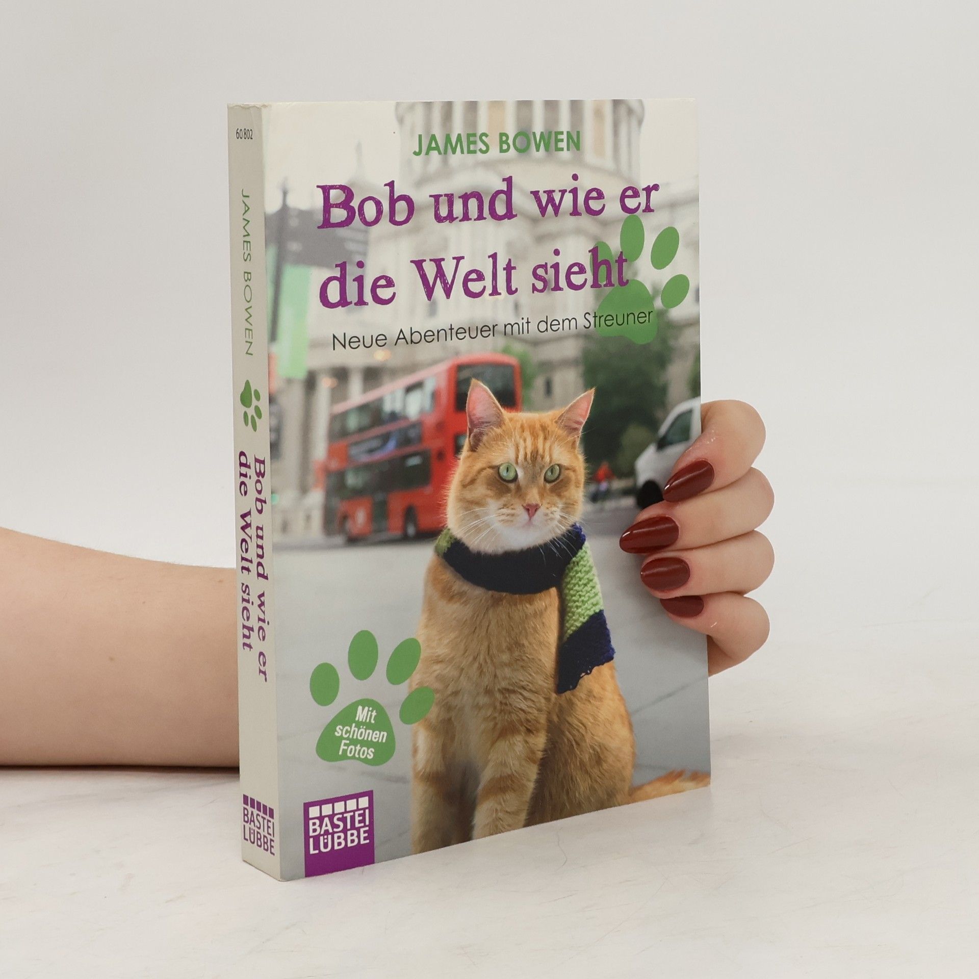 James Bowen Bob und wie er die Welt sieht