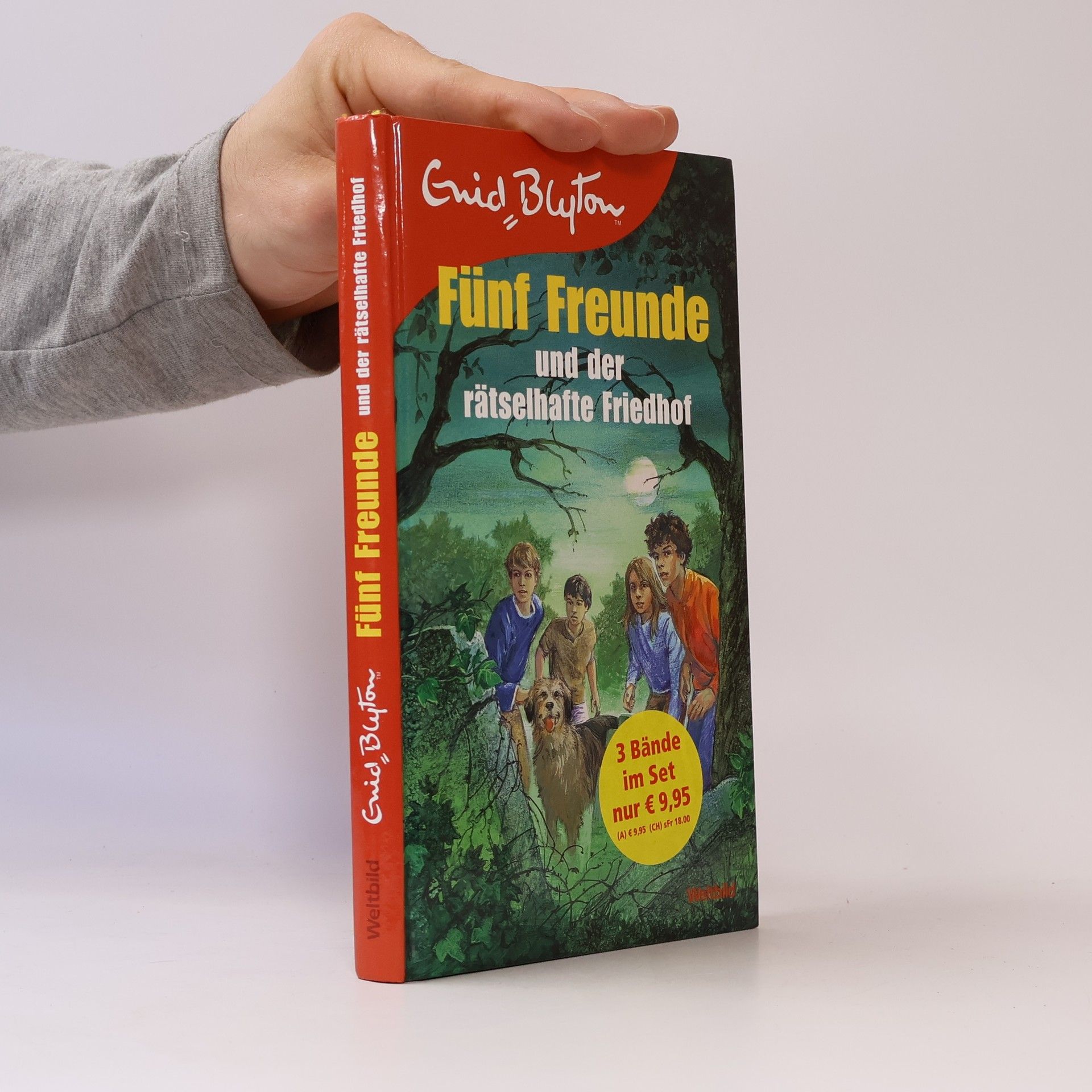 Enid Blyton Fünf Freunde und die geheimnisvolle Ruine