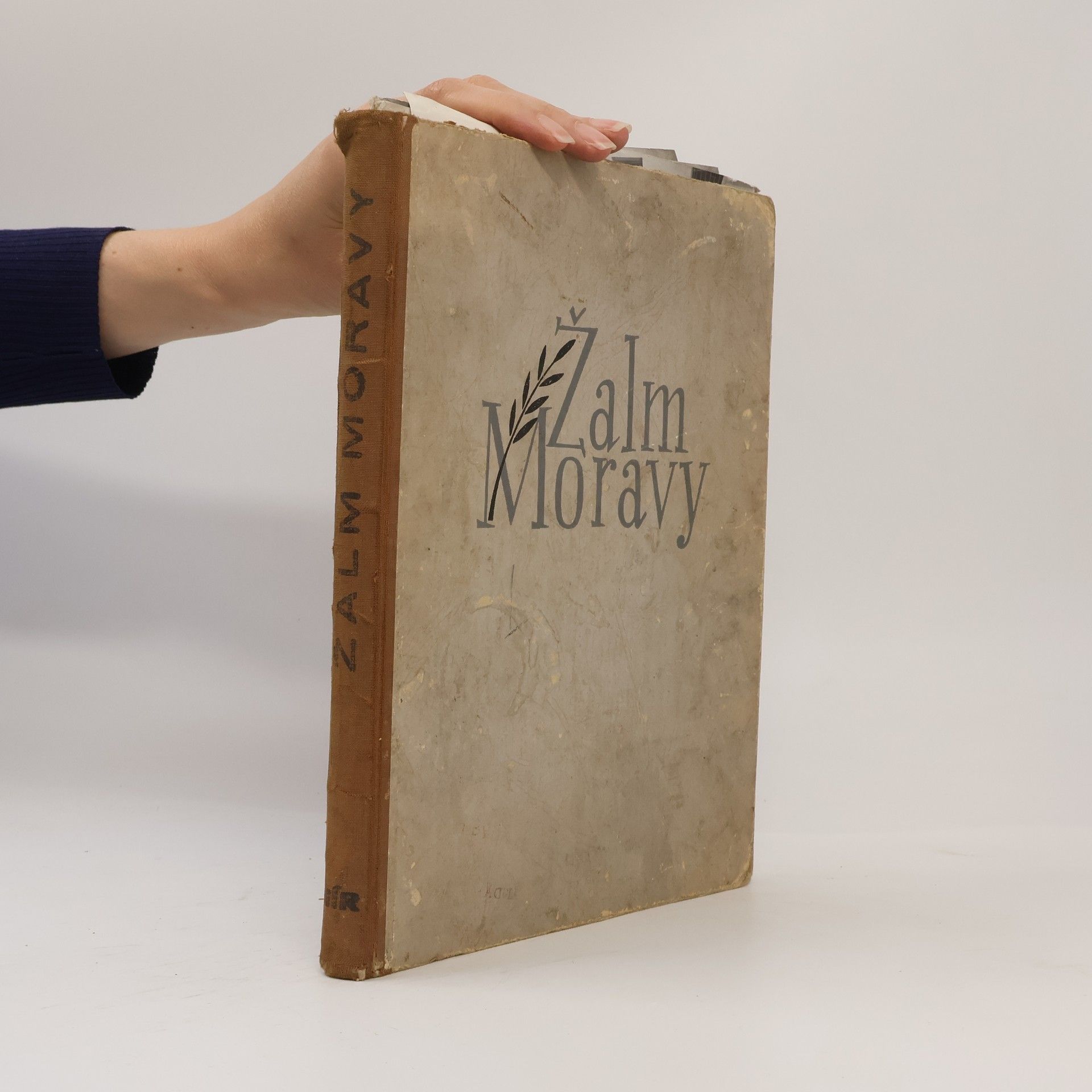 Žalm Moravy