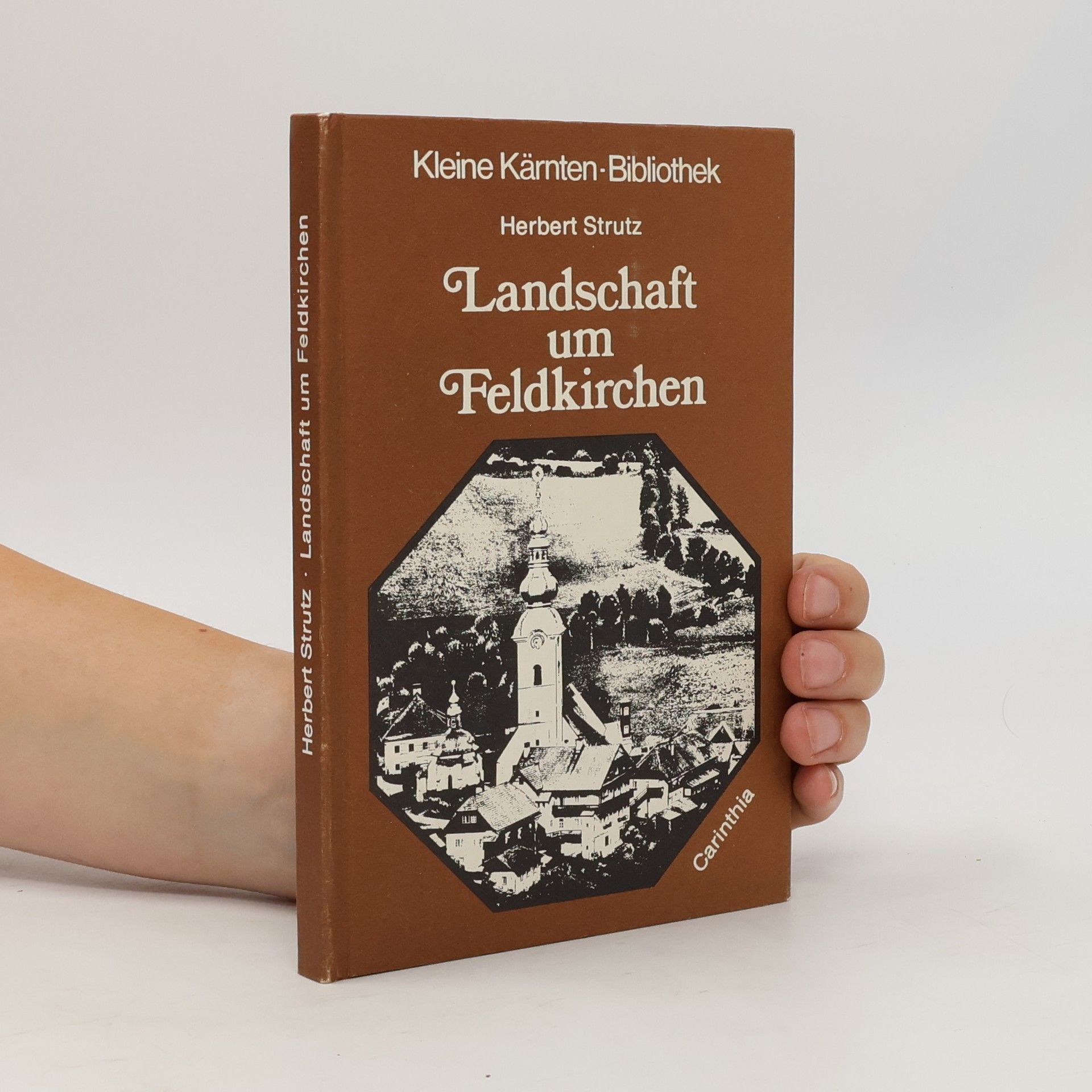 Herbert Strutz Landschaft um Feldkirchen